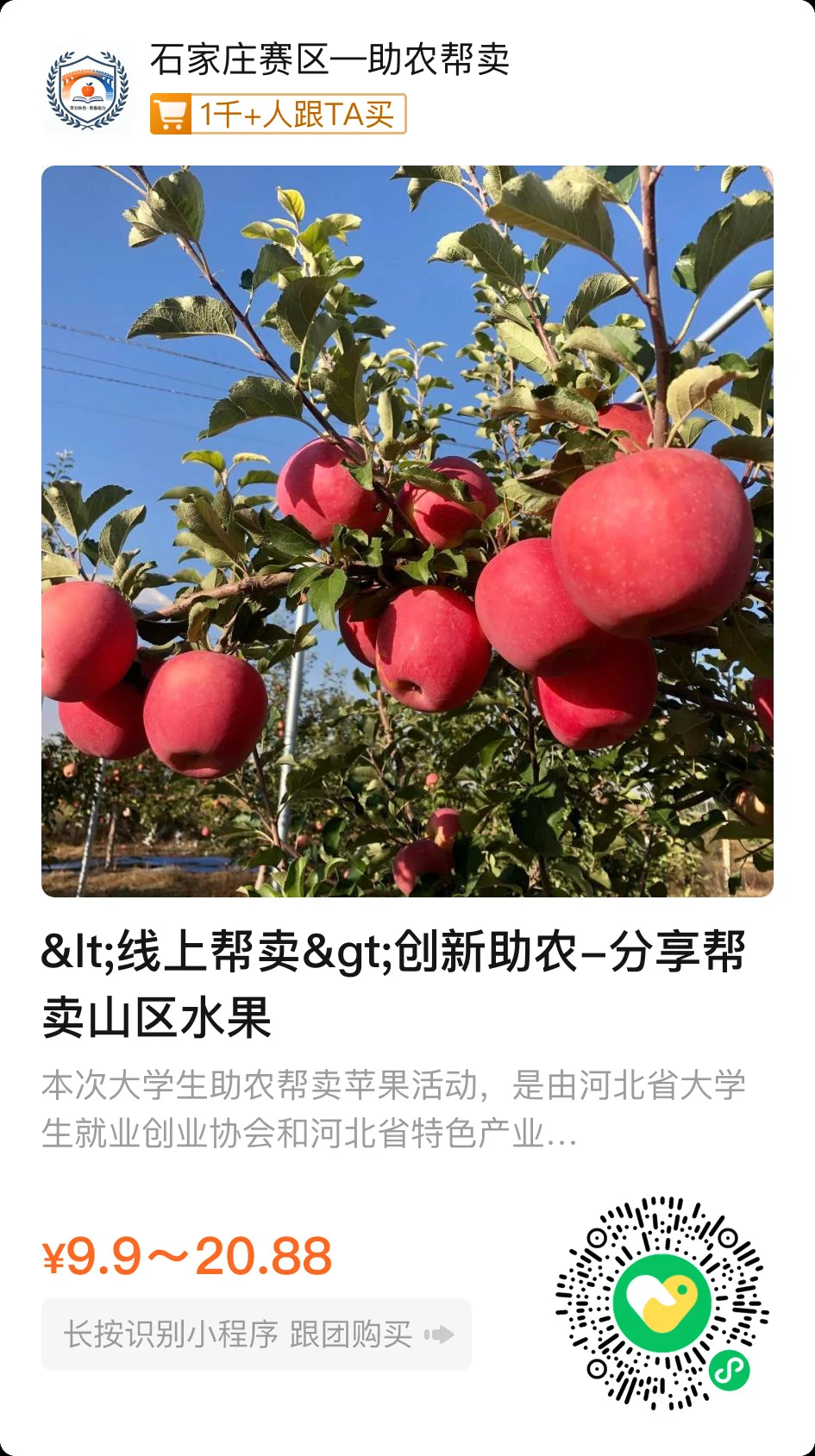 ?大学生助农｜是燕赵大地的甜！