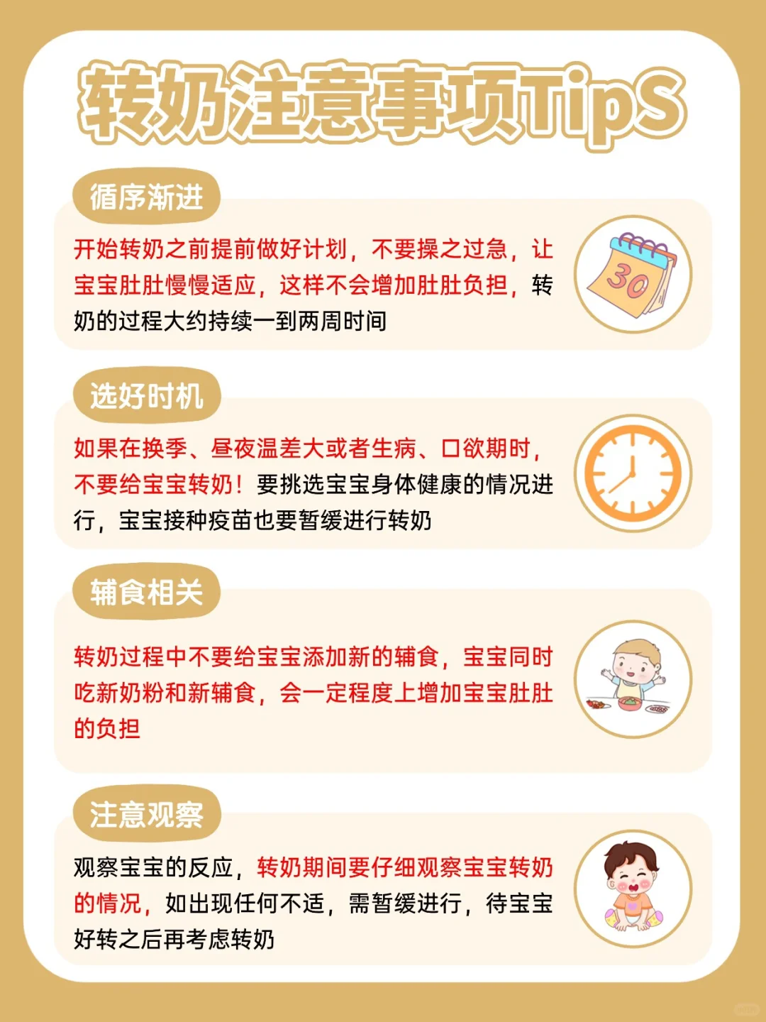 资深营养师深转适全攻略❗实现丝滑上岸-