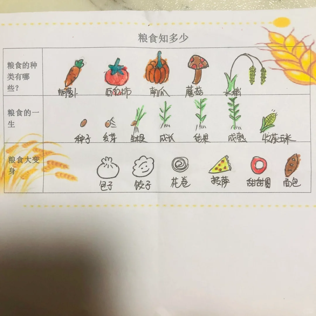 幼儿园作业粮食知多少