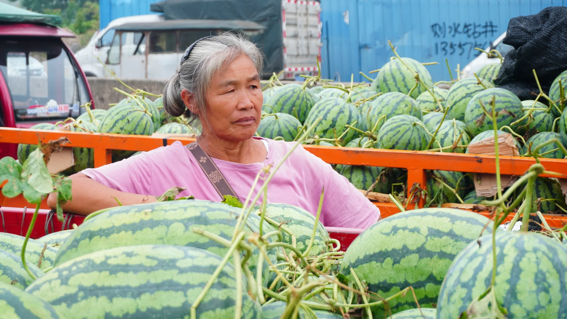 力源助农增收,西瓜甜满人间!买一个西瓜