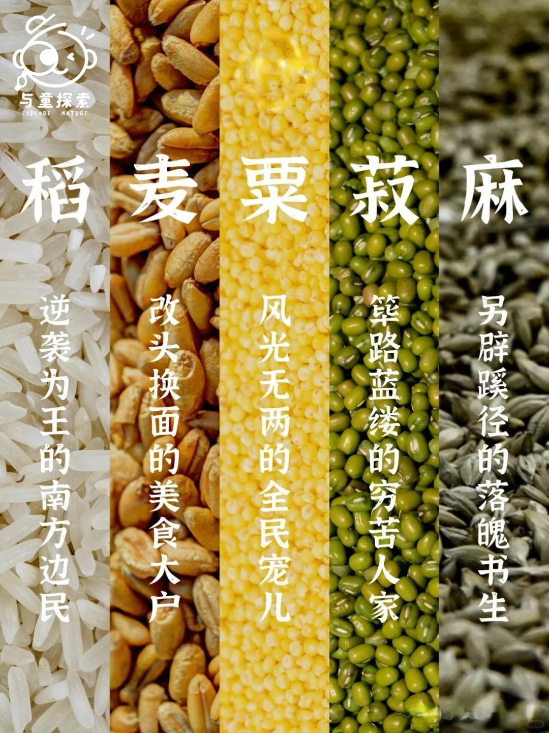 ??‍?小小农场主，大大成长旅！?‍??