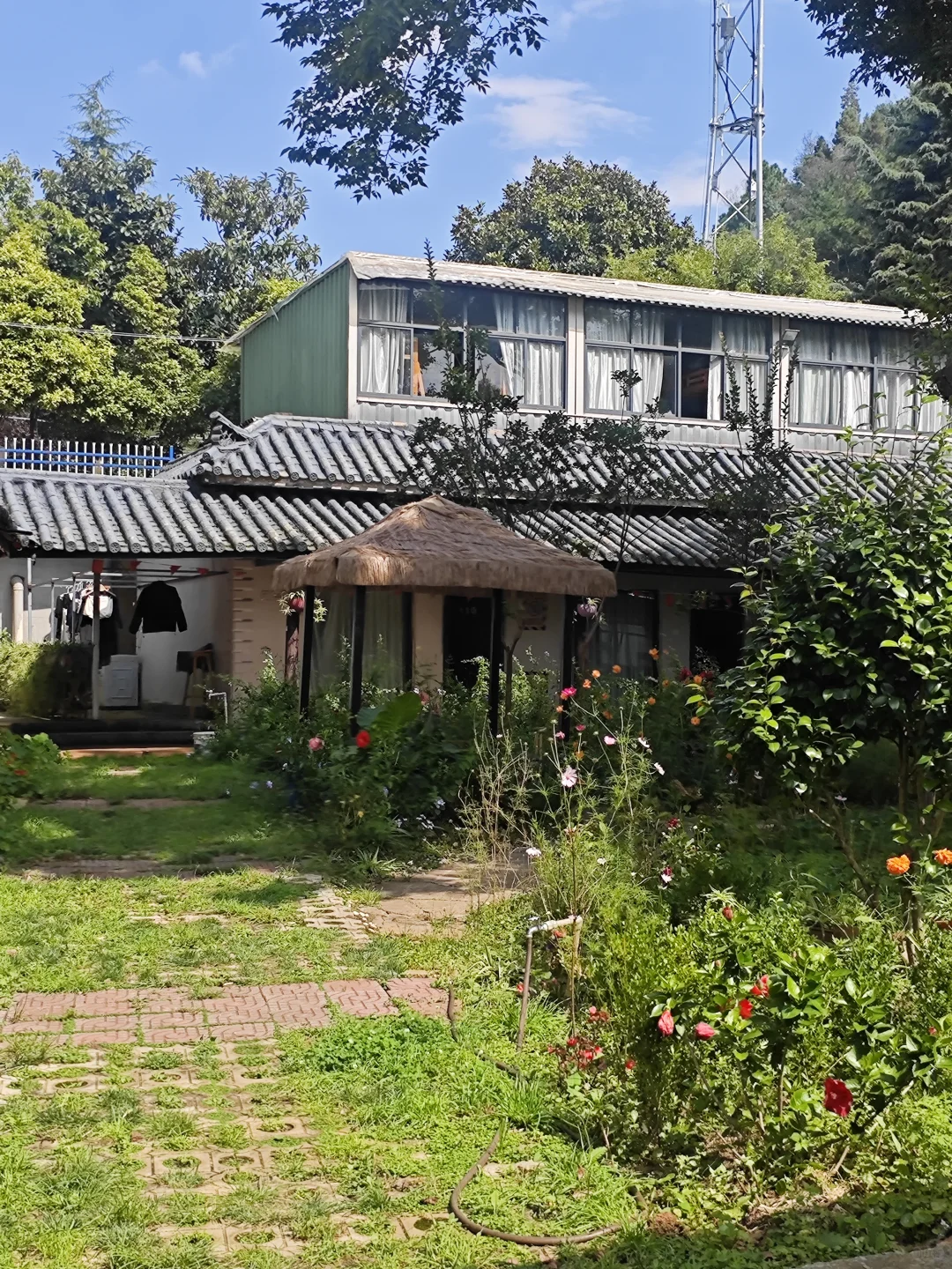 云南领航业务板块