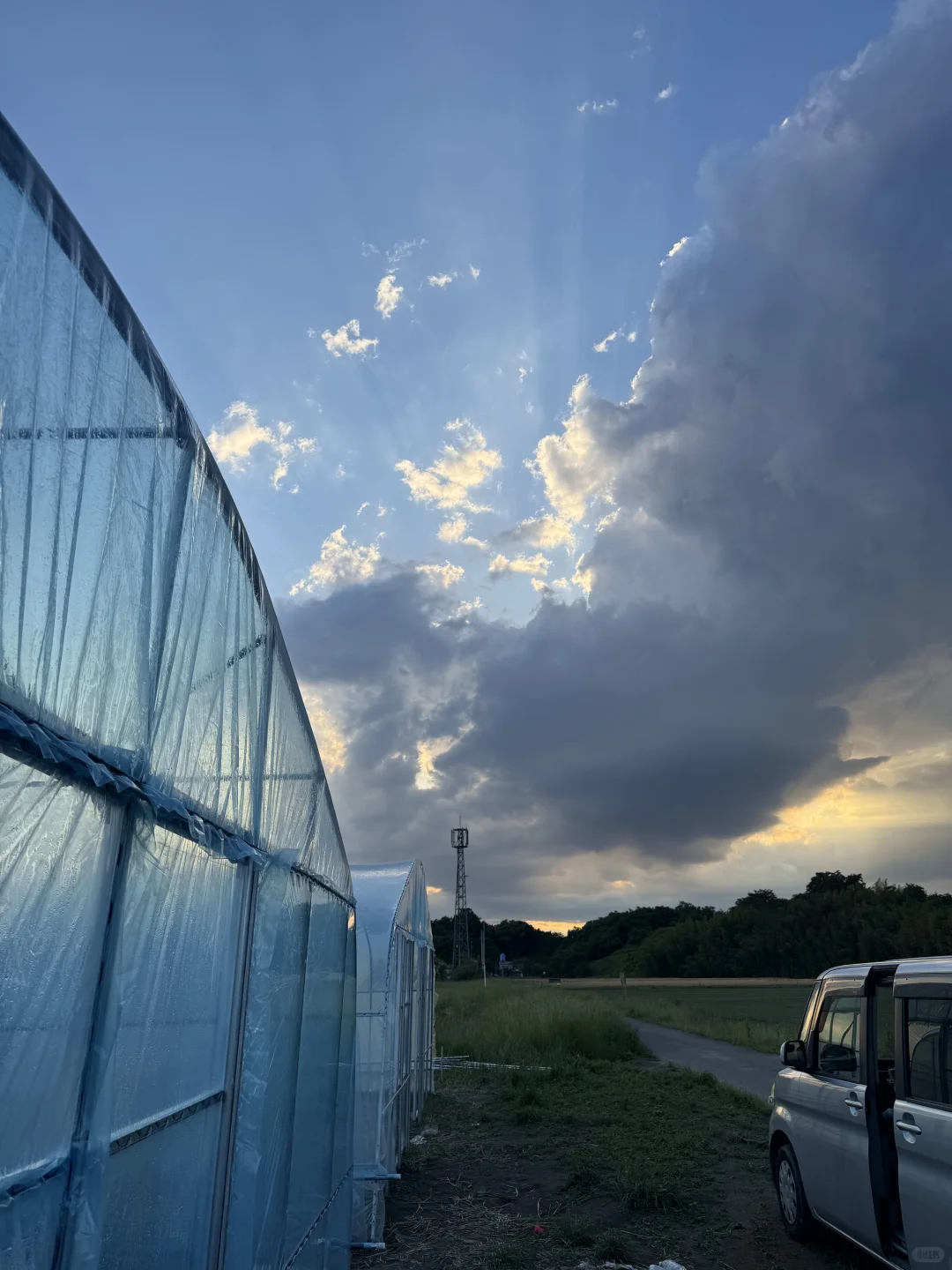 温室大棚步步进行中