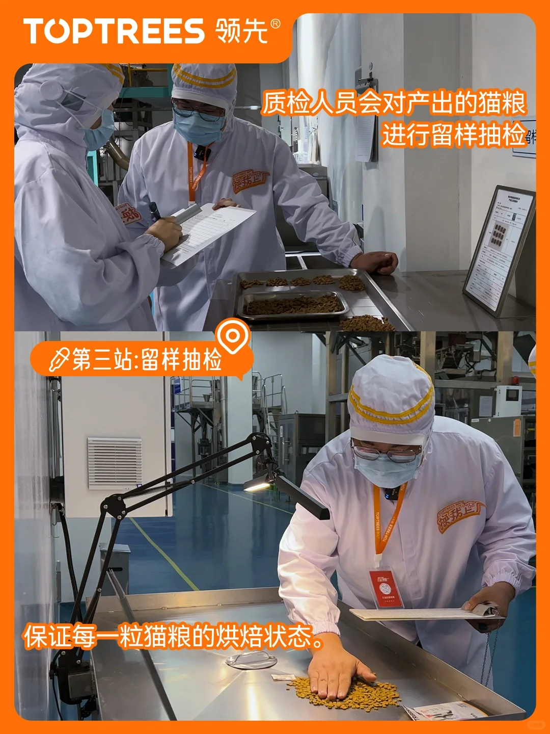 ?欢迎收看领先探厂plog!