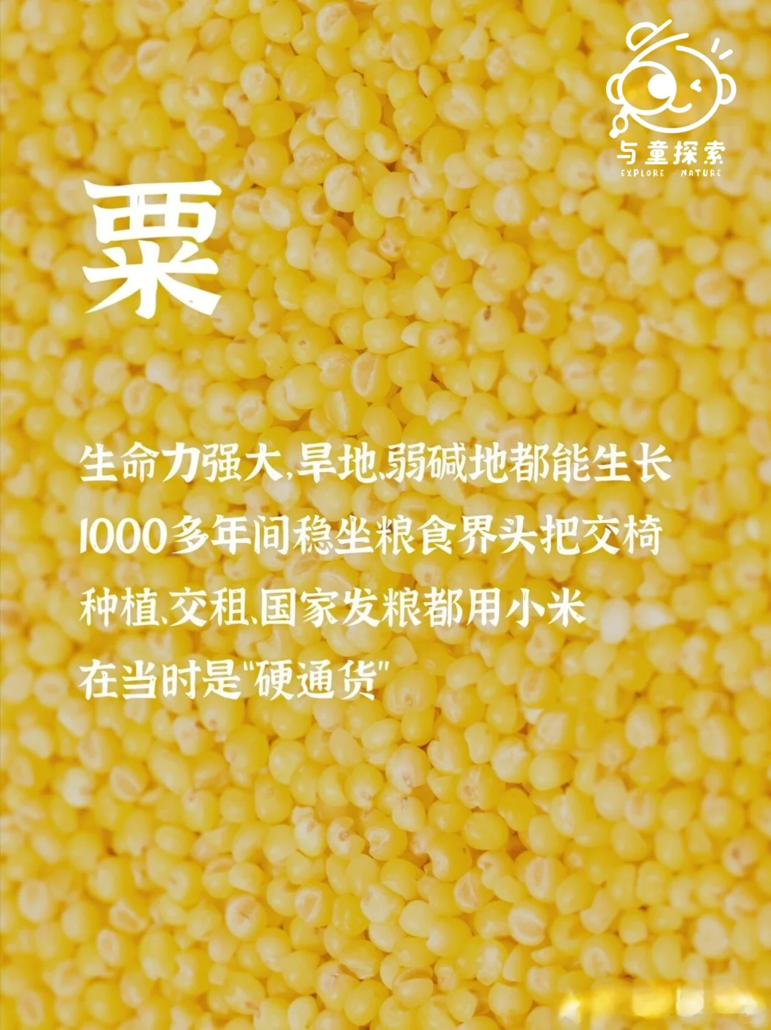 ??‍?小小农场主，大大成长旅！?‍??