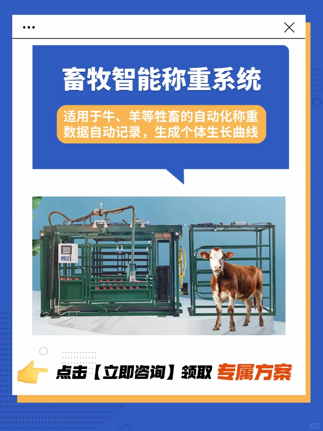 郑州邦茂|智能称重系统,助力畜牧管理升级