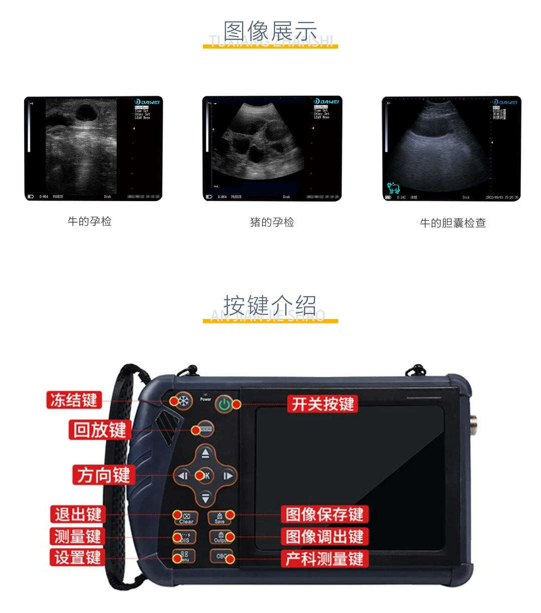 猪马牛羊通用的B超设备
