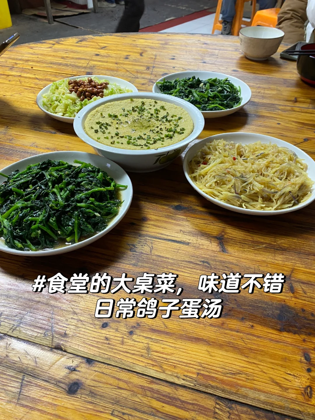 动医实习 | 动物医学女大学生鸽厂实习lv.1