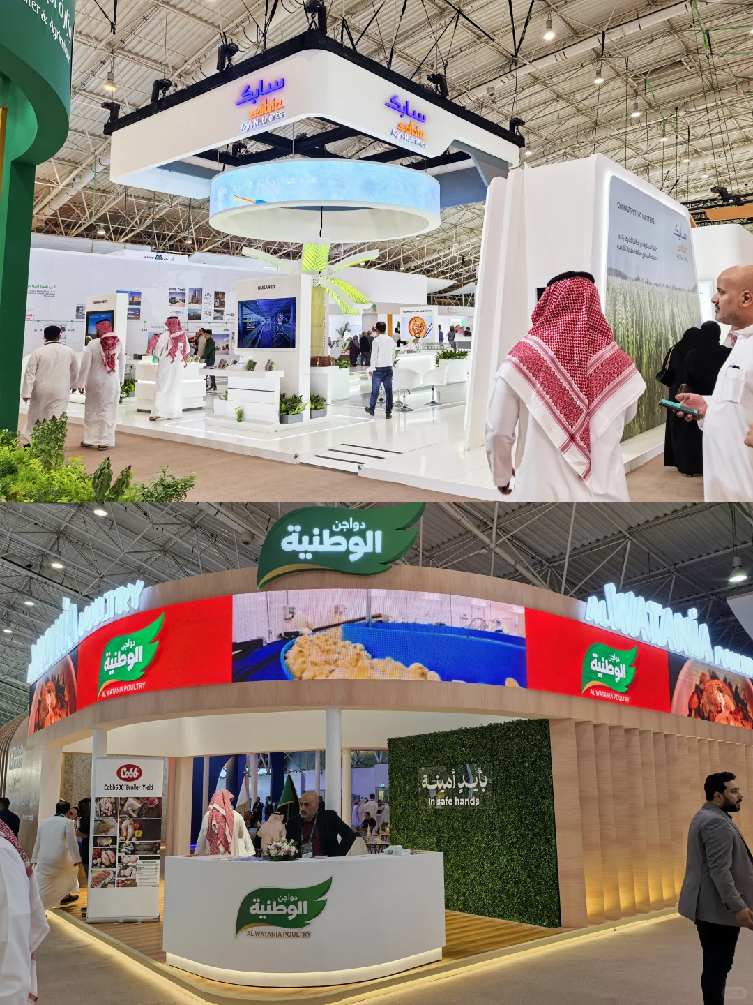 沙特农业展收官,中东粮仓的窗口正在敞开