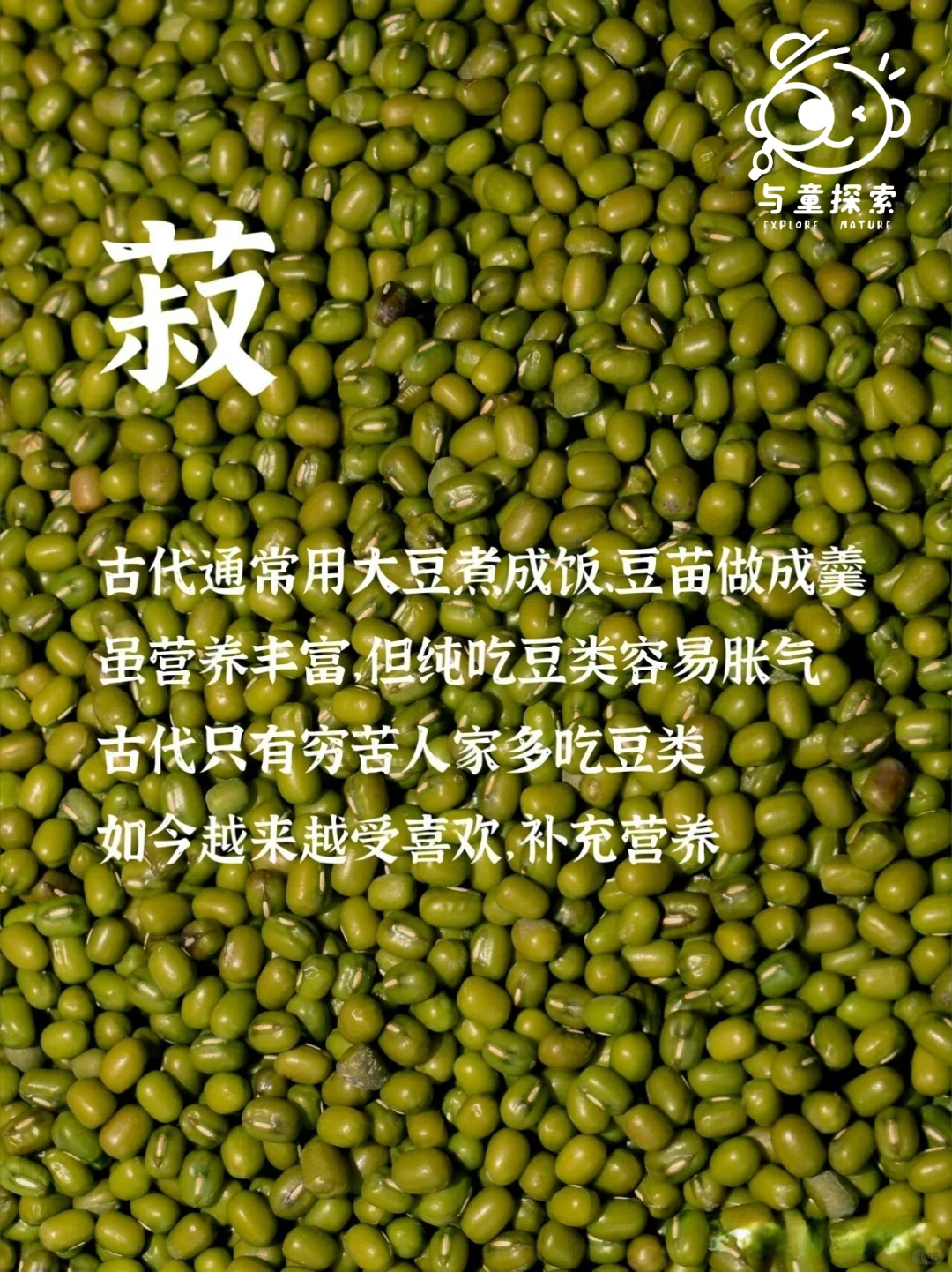 ??‍?小小农场主，大大成长旅！?‍??