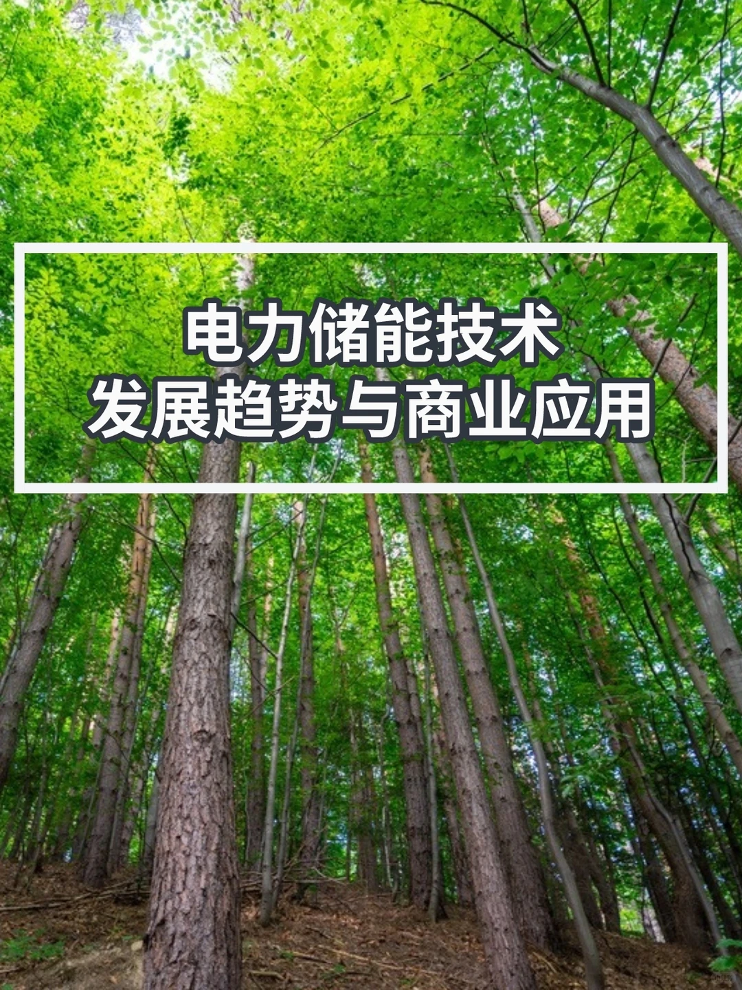 我国电力储能发展趋势和应用（深度）