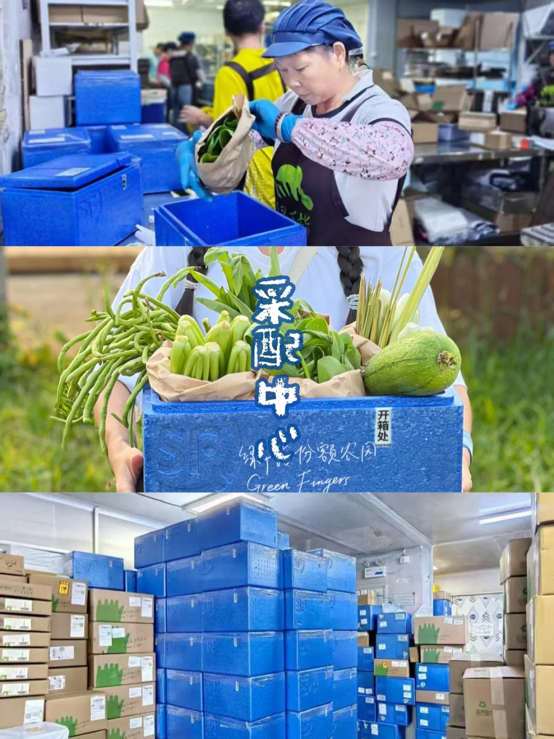 十五年的有机农场是什么样子？