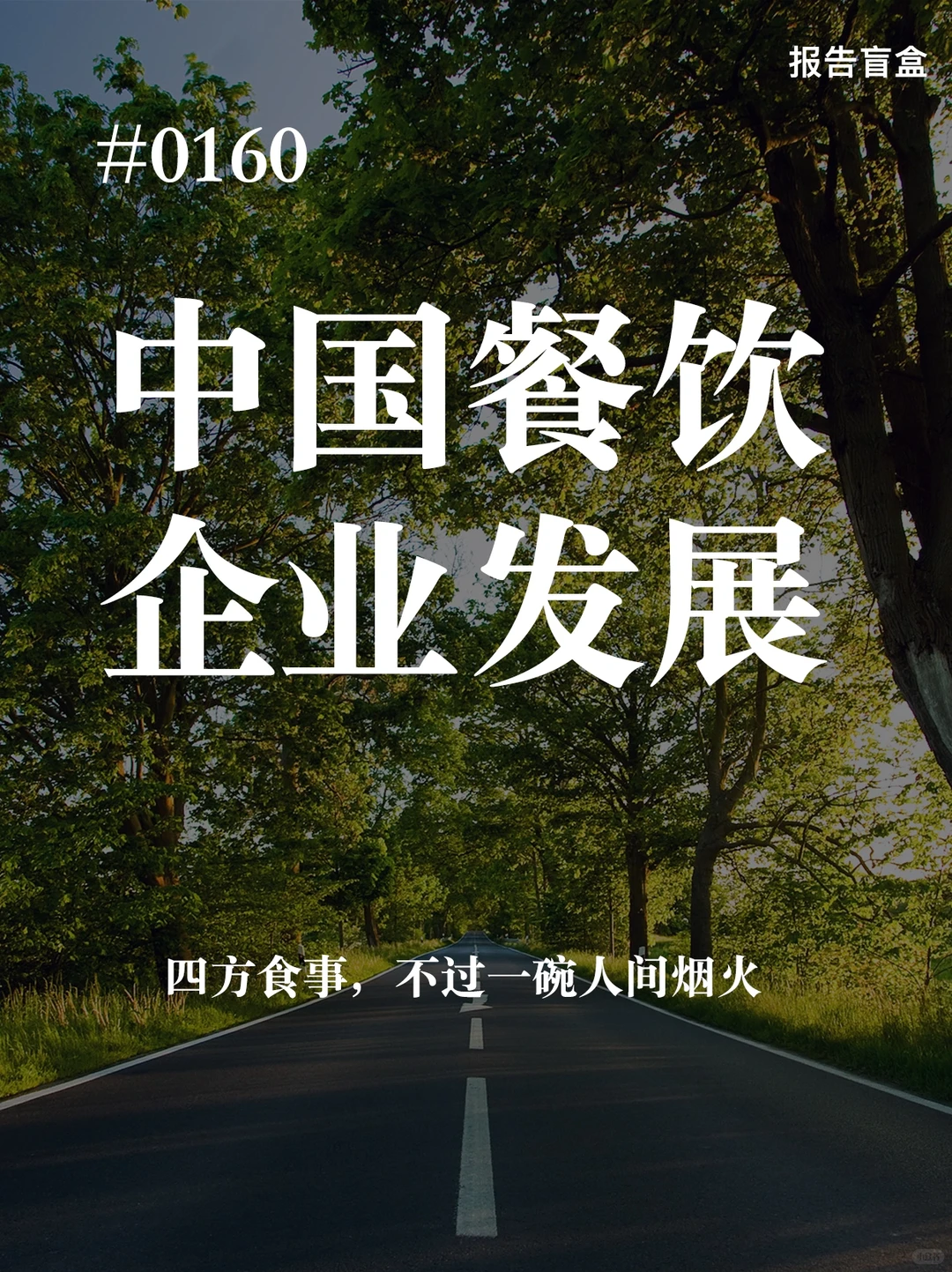 #0160|中国餐饮企业发展报告