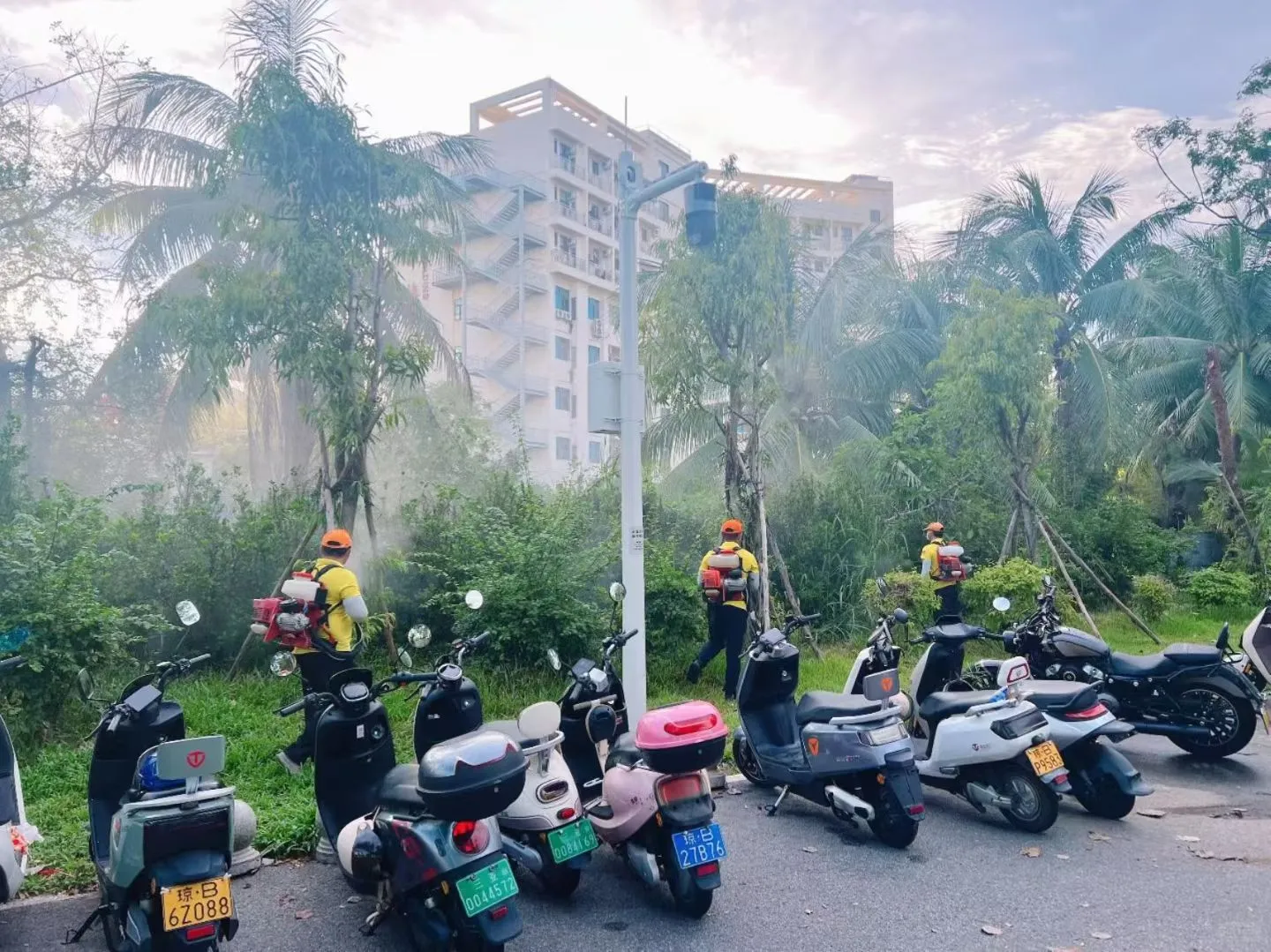 广州消杀公司推荐花都区消杀除四害