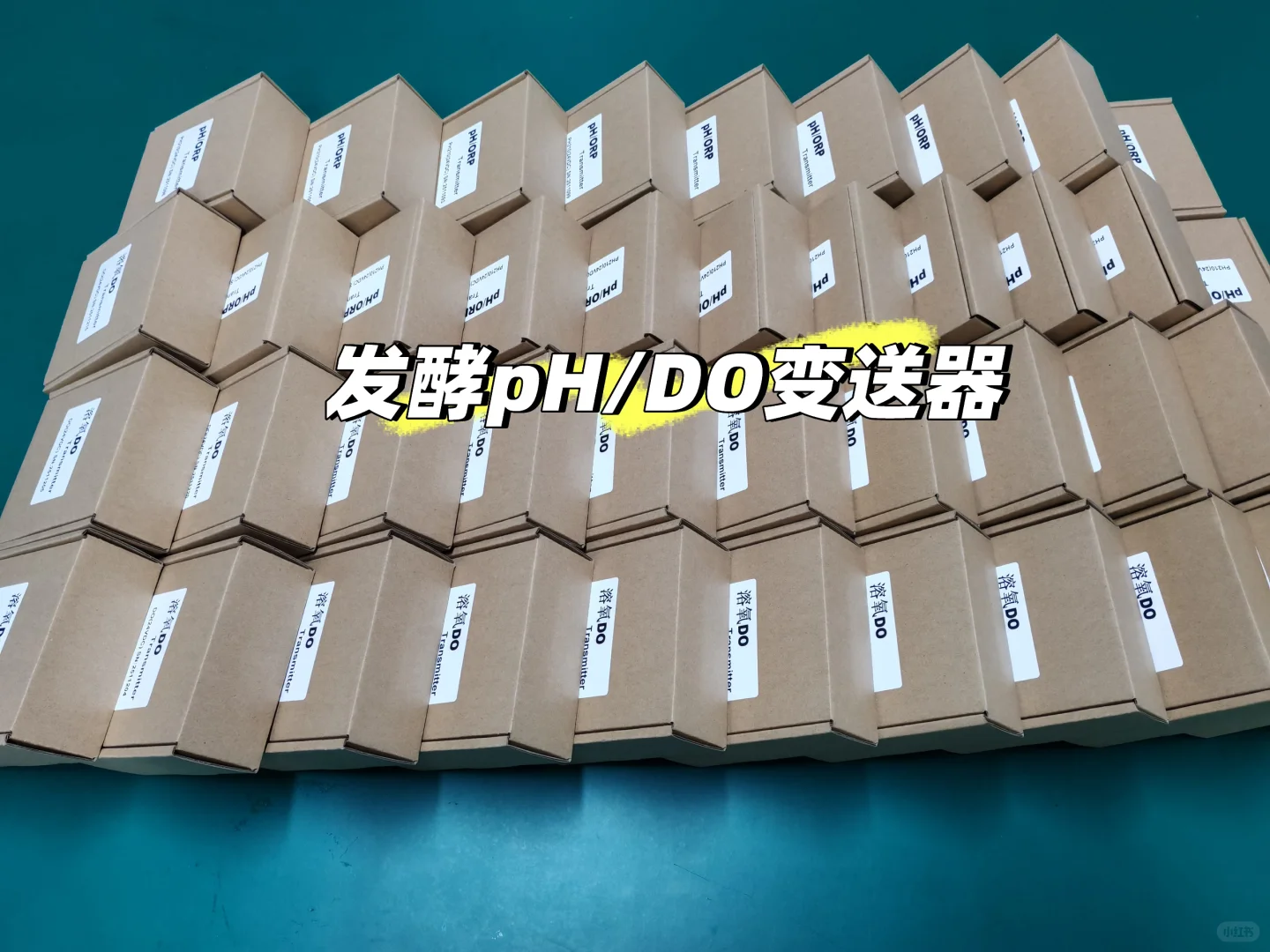 发酵pH和DO变送器出货