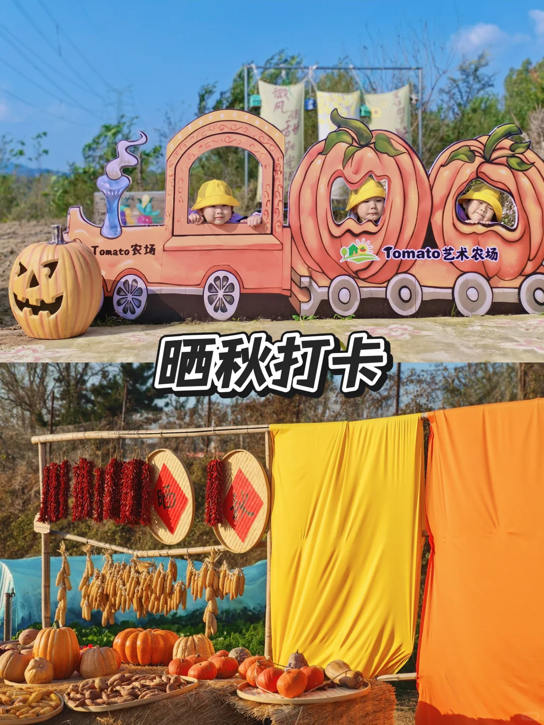 威海溜娃｜农场一日游｜冬日户外撒野