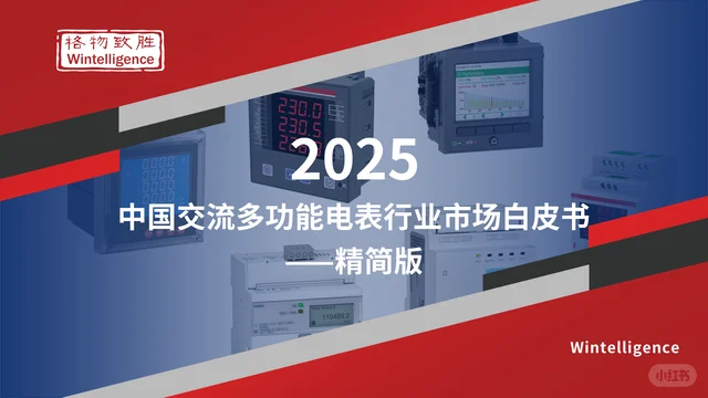《2025年中国交流多功能电表白皮书精简版》