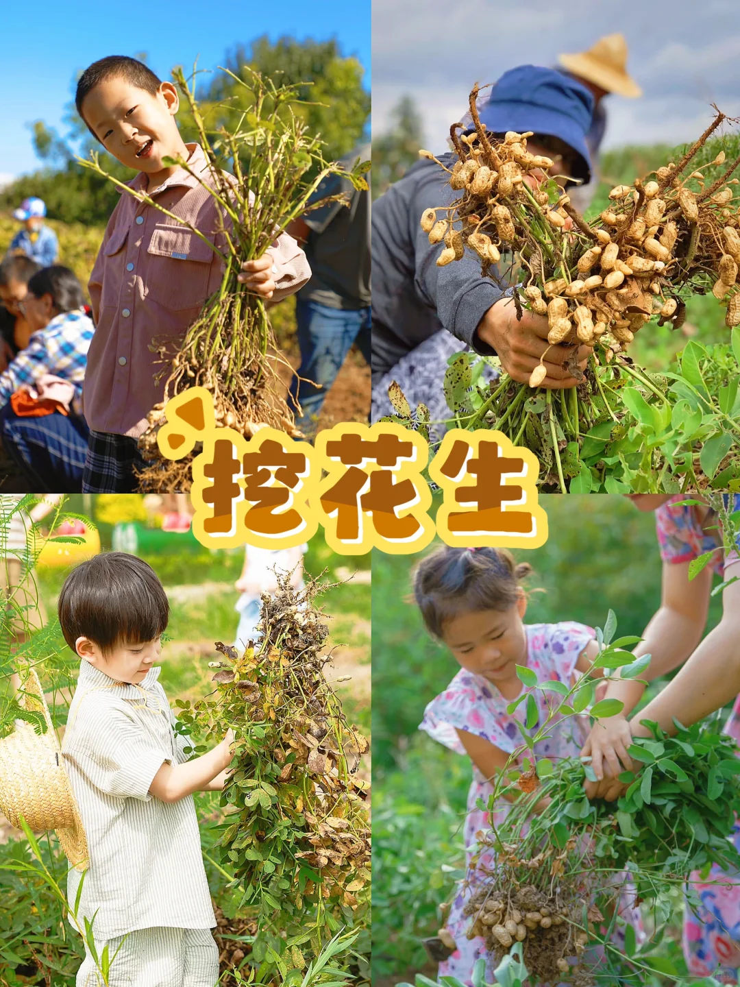 杭州秋季亲子活动‼️带娃打卡12项农事体验?