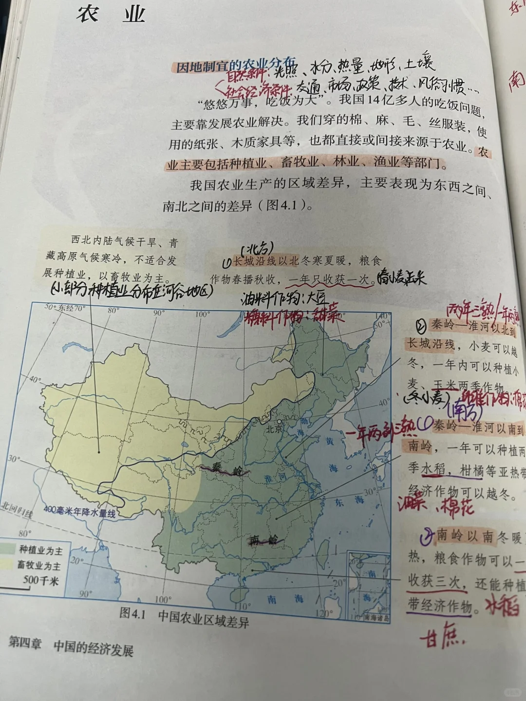 八上地理 农业