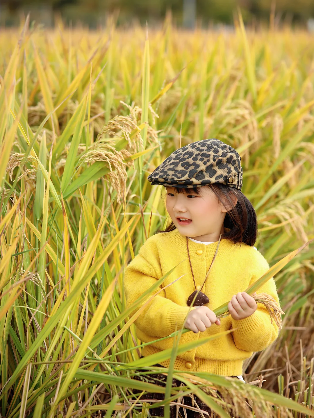 杭州稻田遛娃拍出电影感!娃的红脸蛋全靠它!