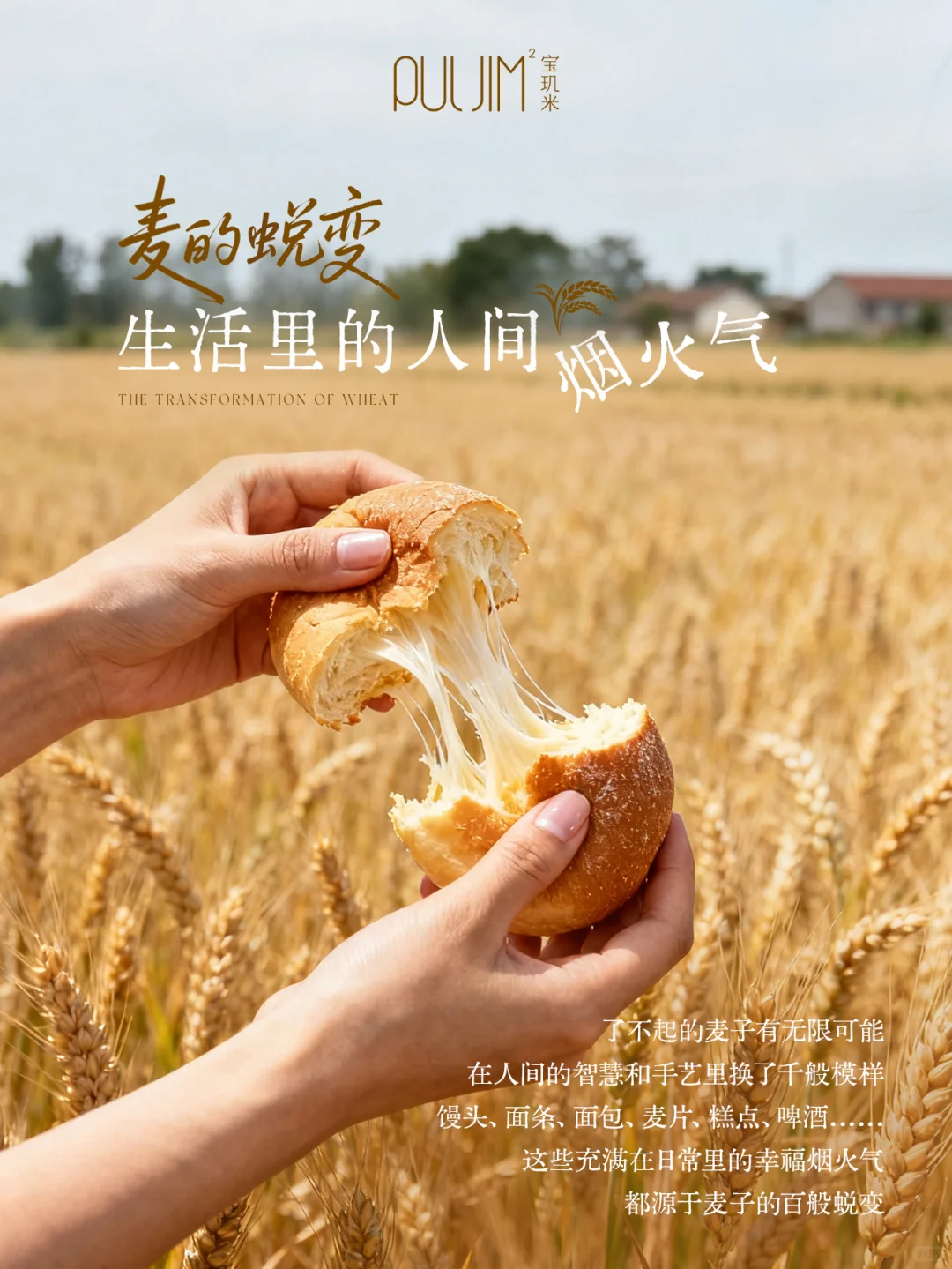麦子的无限可能