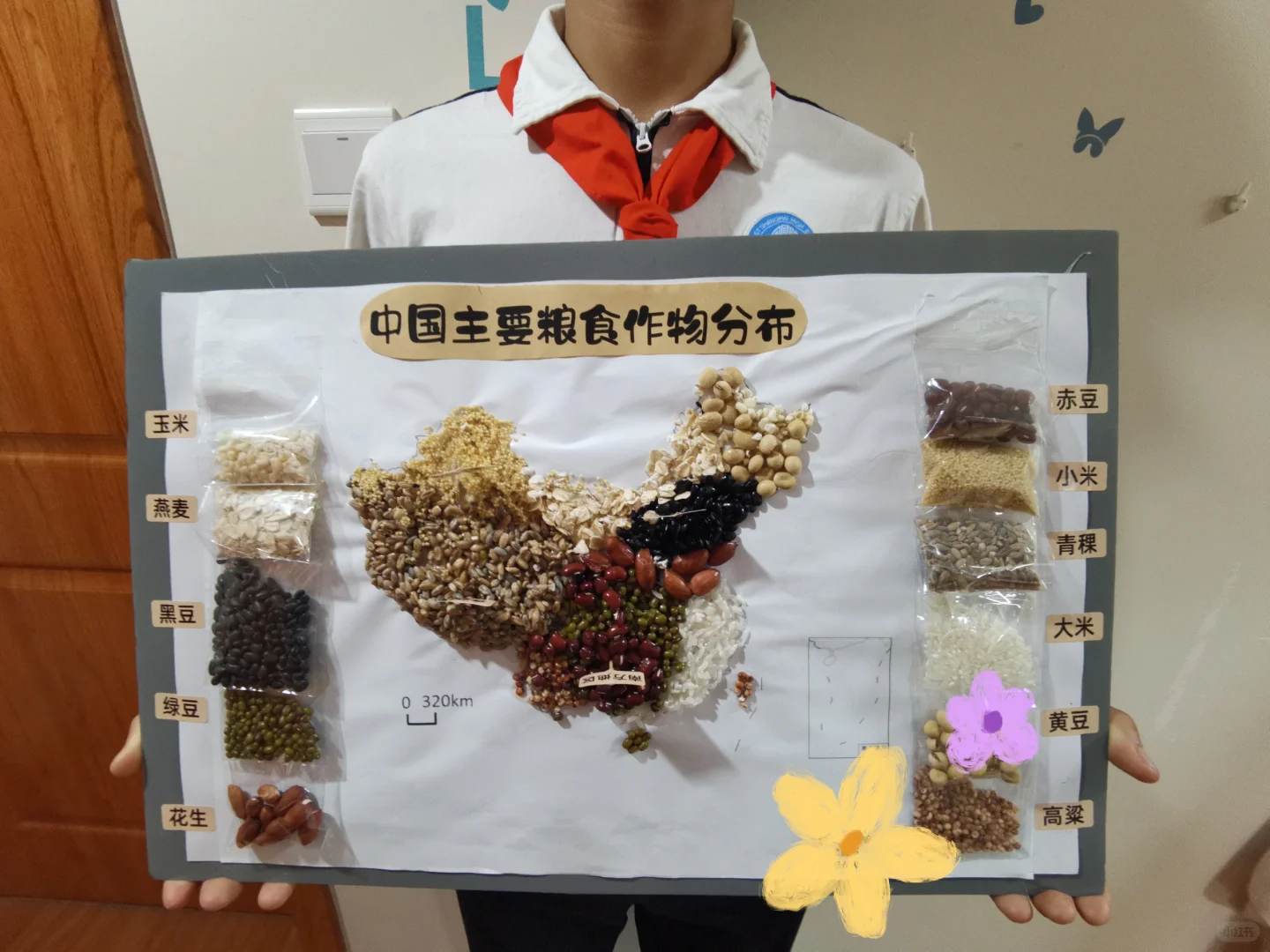 中国主要粮食作物分布