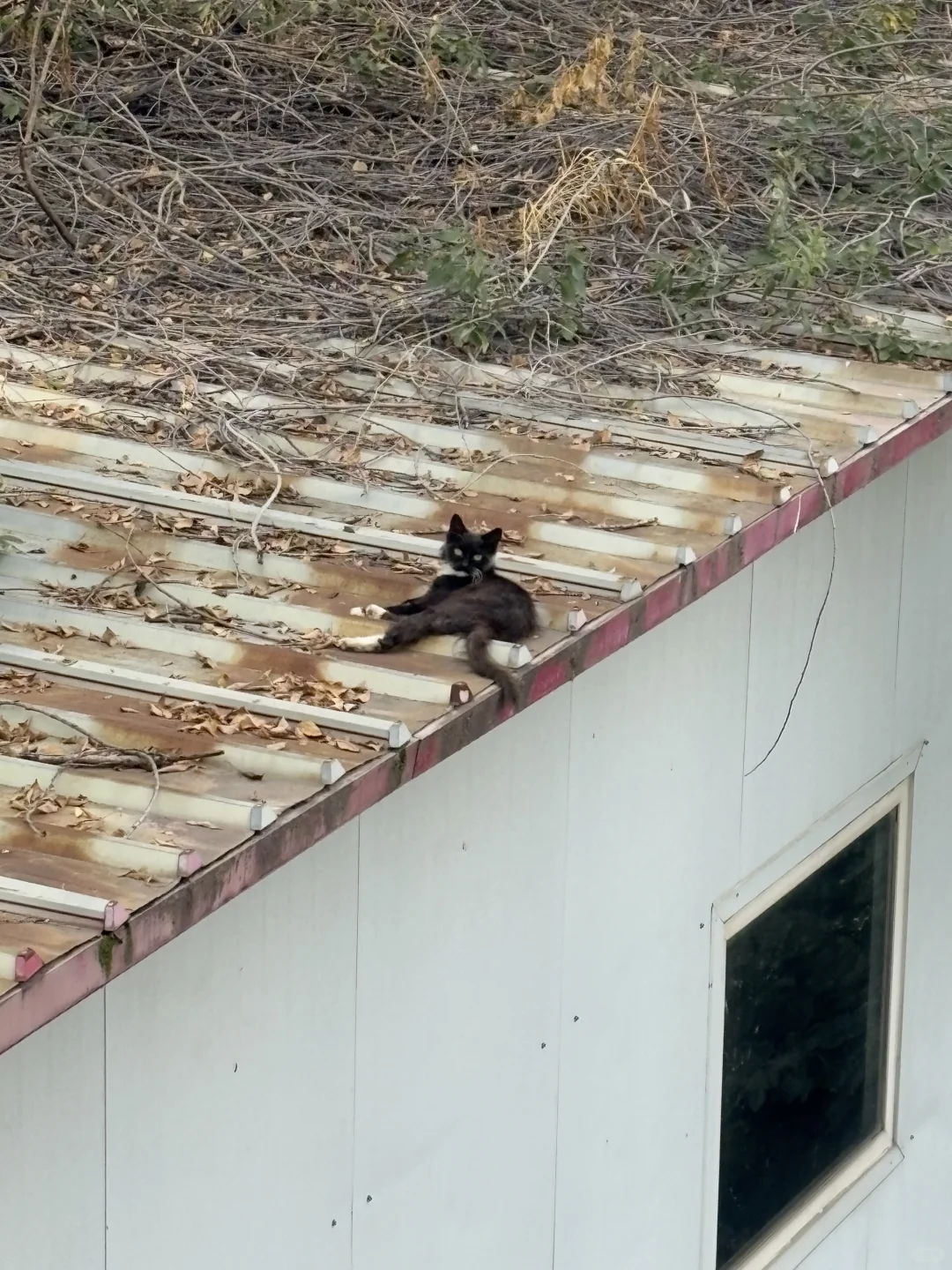 废弃医院里 最恐怖的竟然是。。。