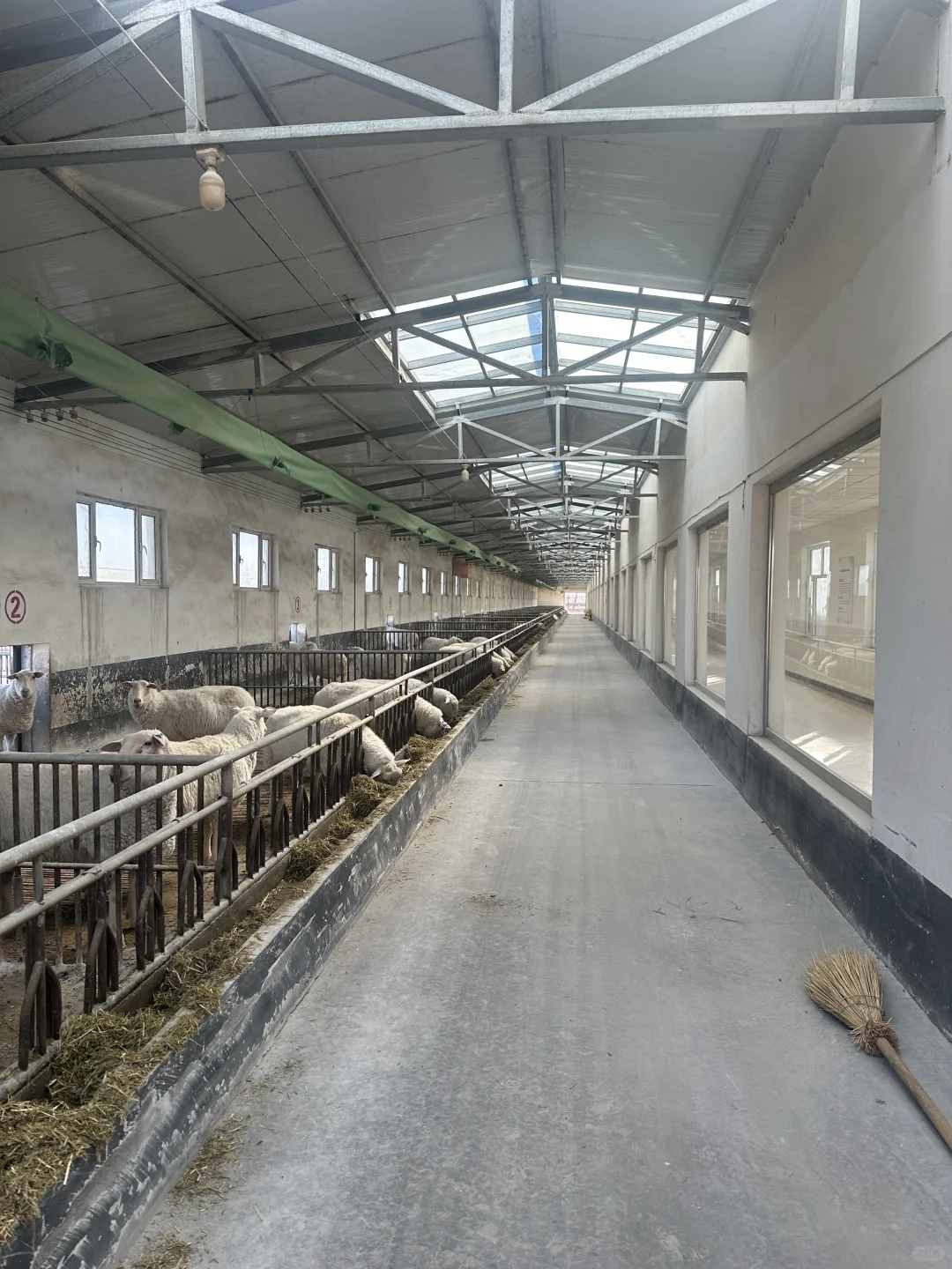 传福瑞暖风机、加热器、供暖设备、养殖设备