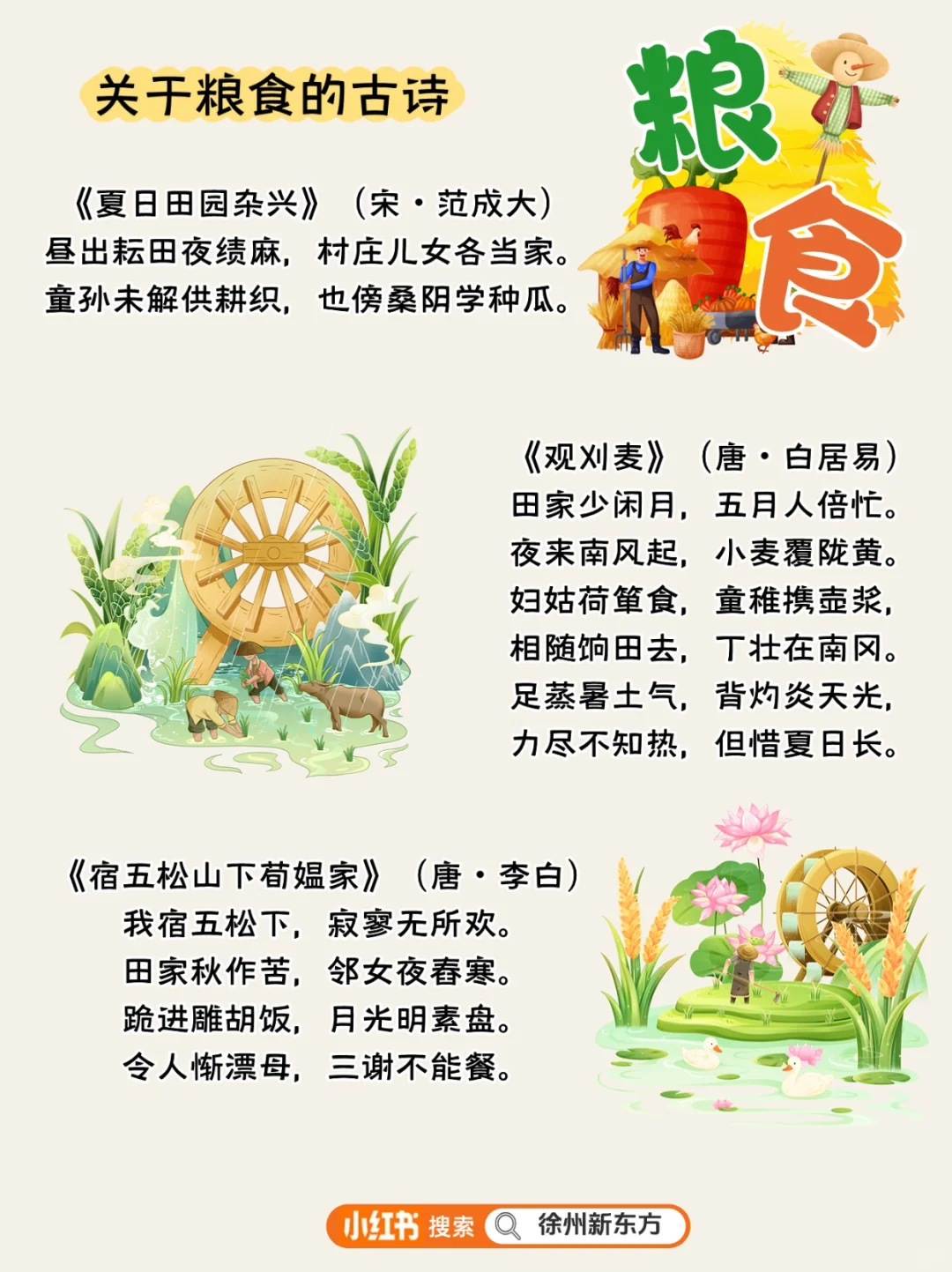 ?粮食|别让 “粒粒皆辛苦” 只停在课本