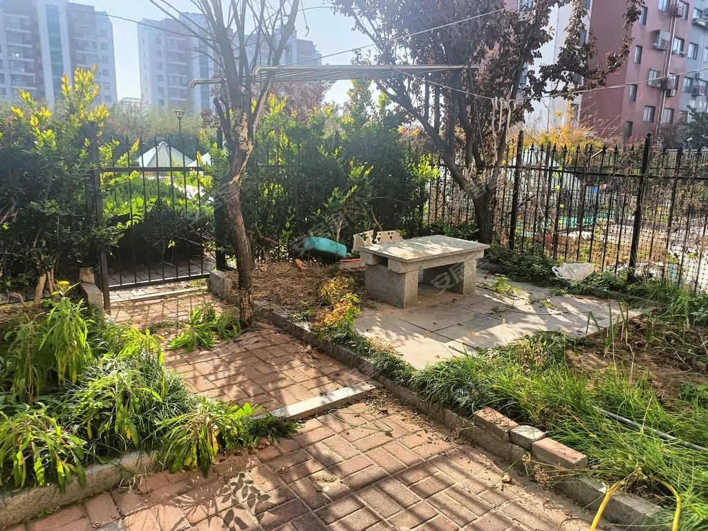 【电梯套一】城阳建材市场1000