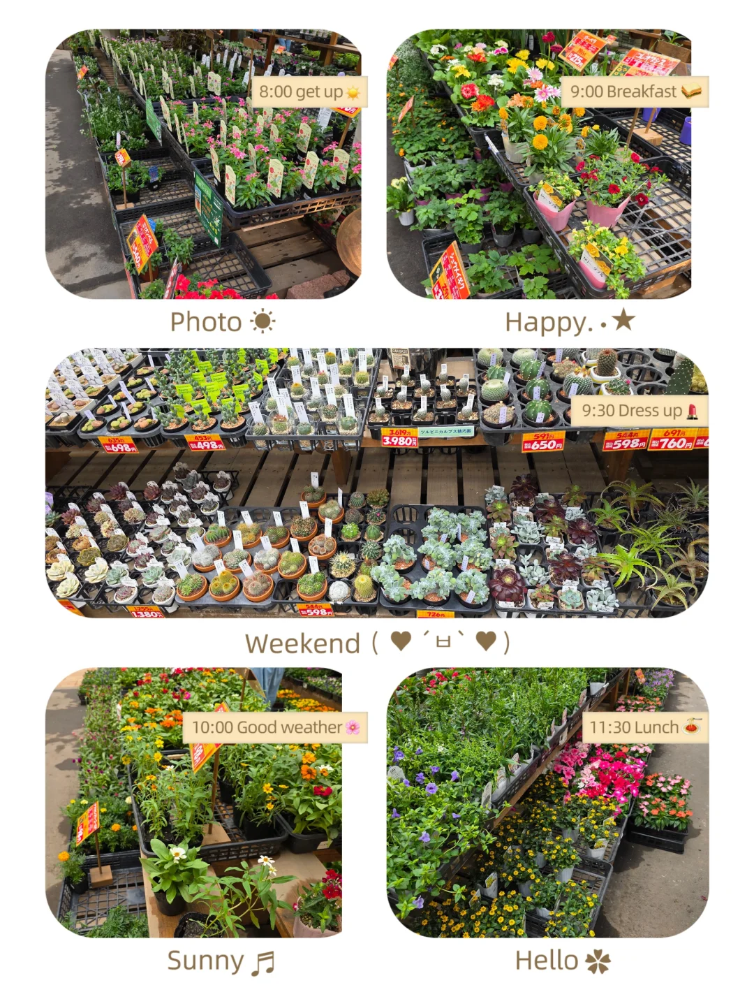 建材市场“寻宝”记