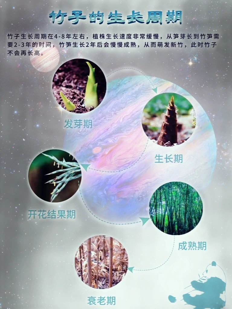 网文素材?常见农作物蔬菜生长周期?