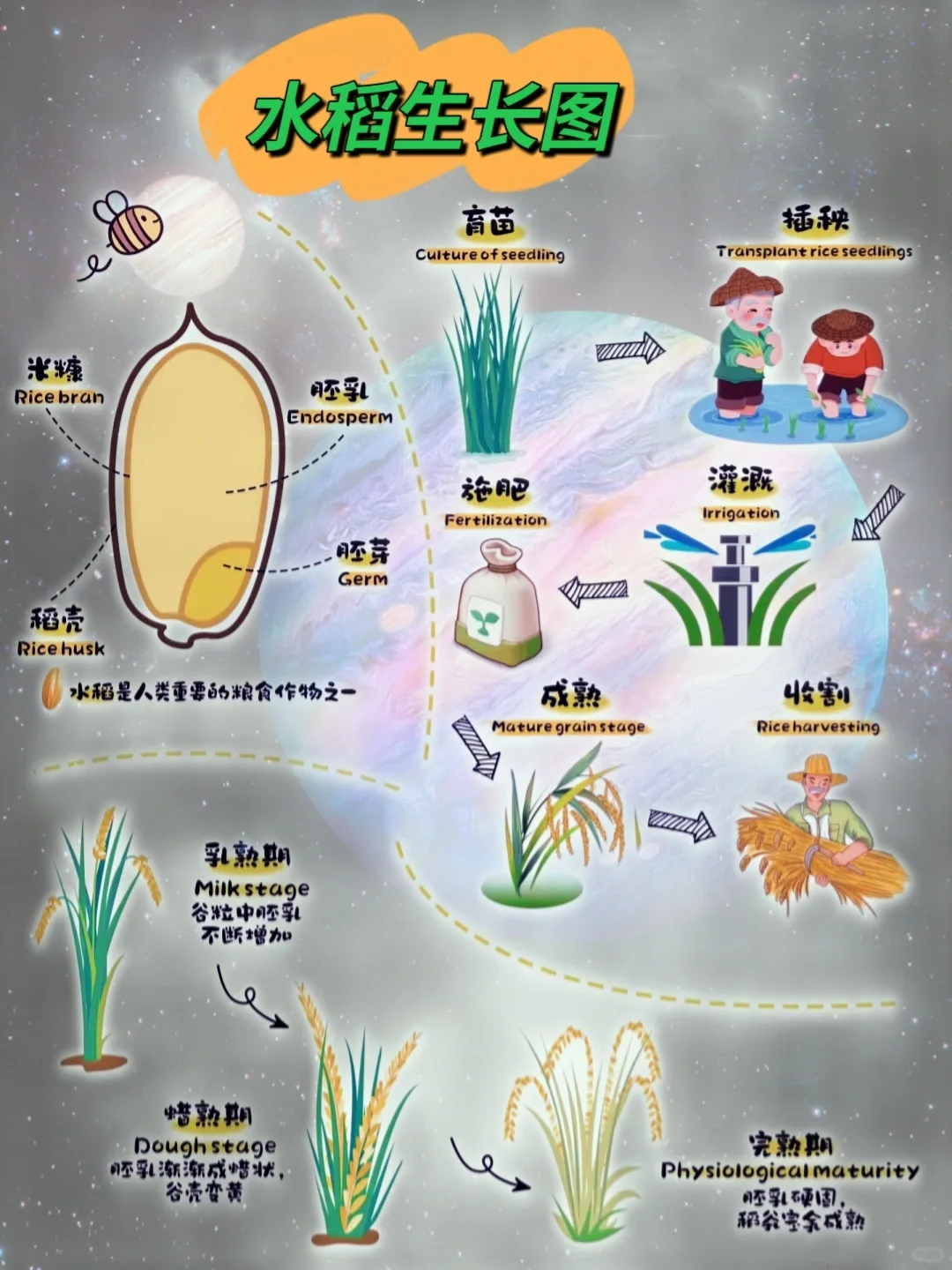 网文素材?常见农作物蔬菜生长周期?