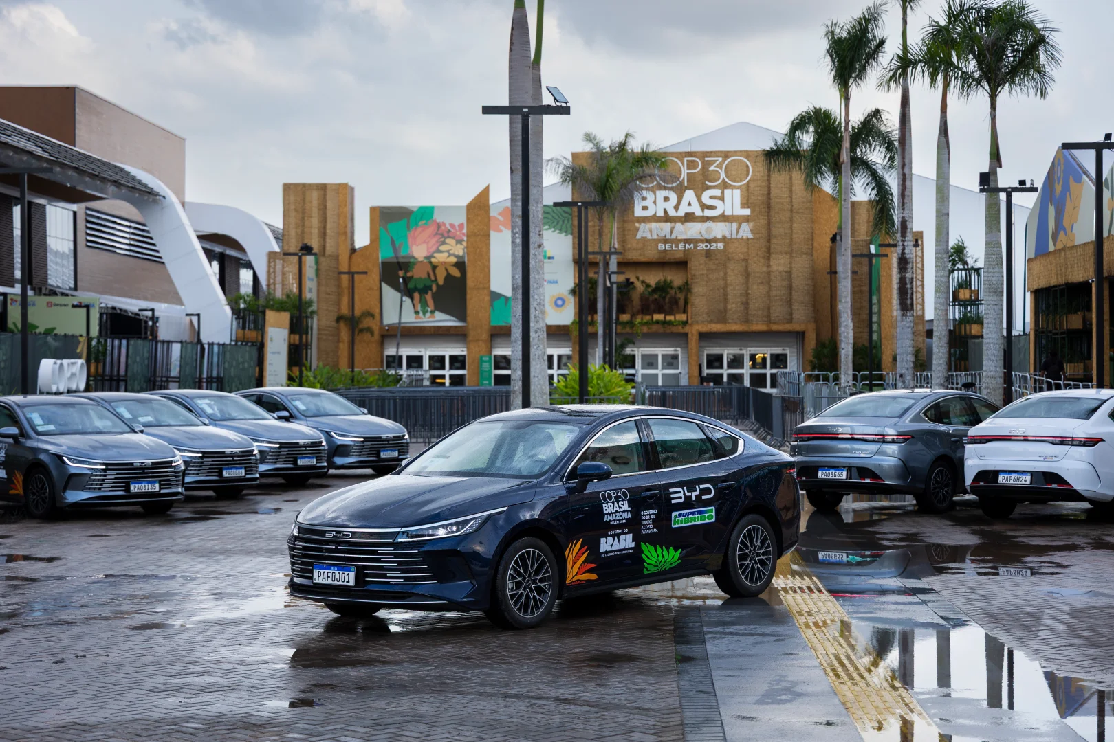 比亚迪技术创新构筑绿色未来