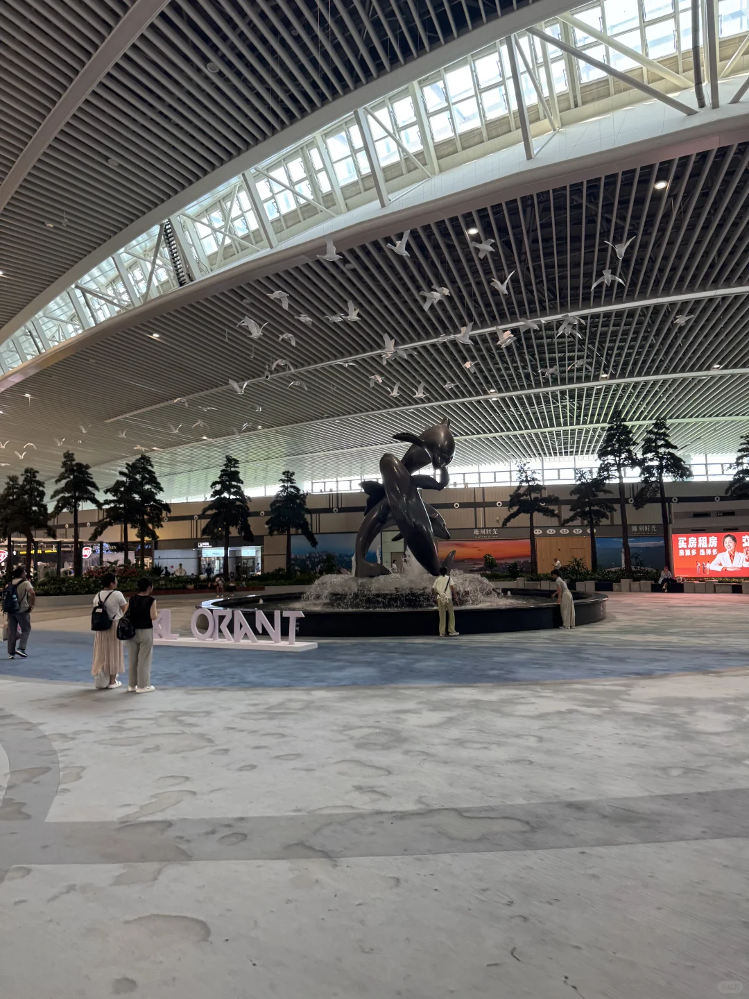 ?捡漏海航宽体公务｜A333青岛胶东-太原武宿