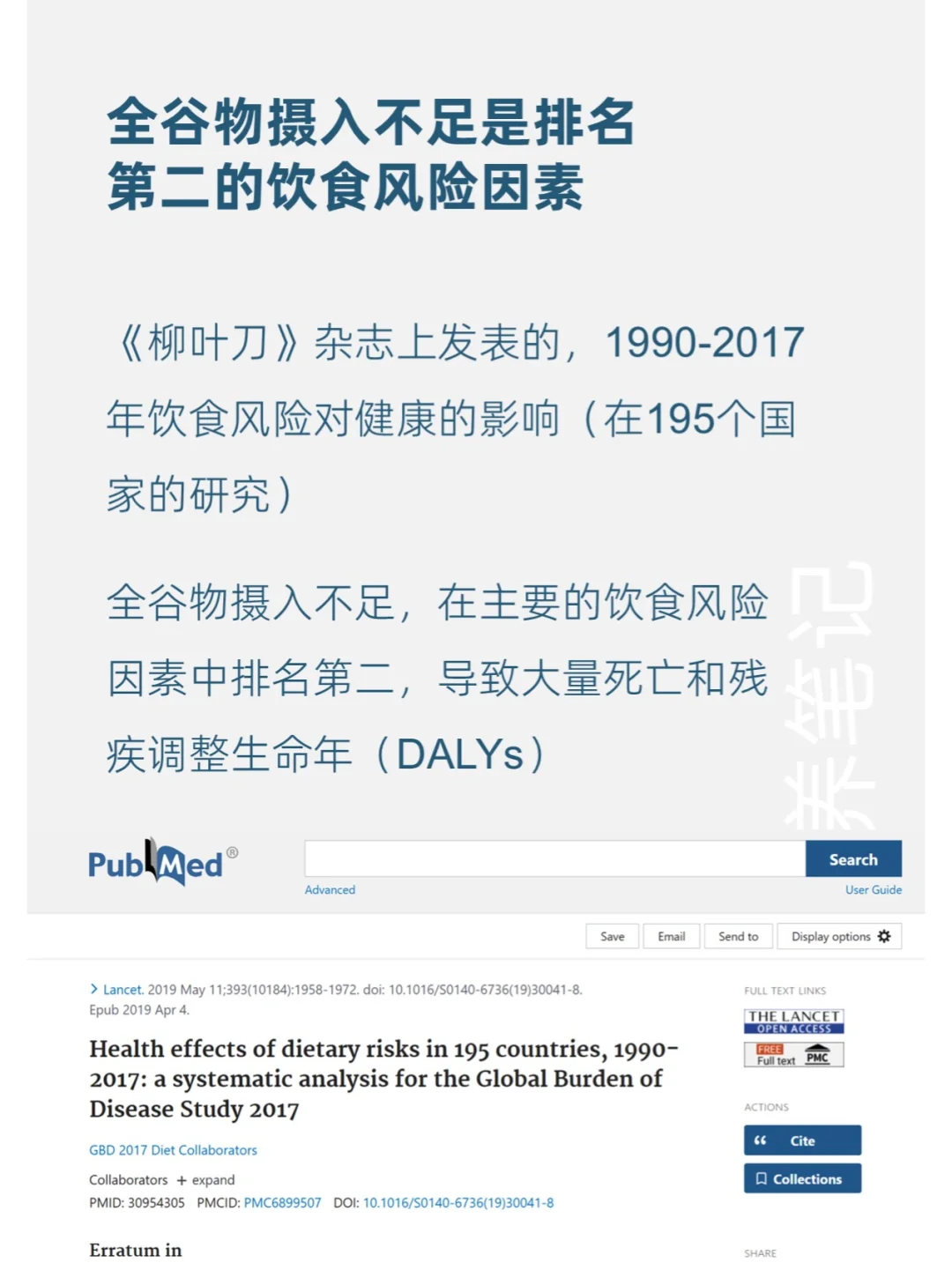 每天学点营养学——全谷物