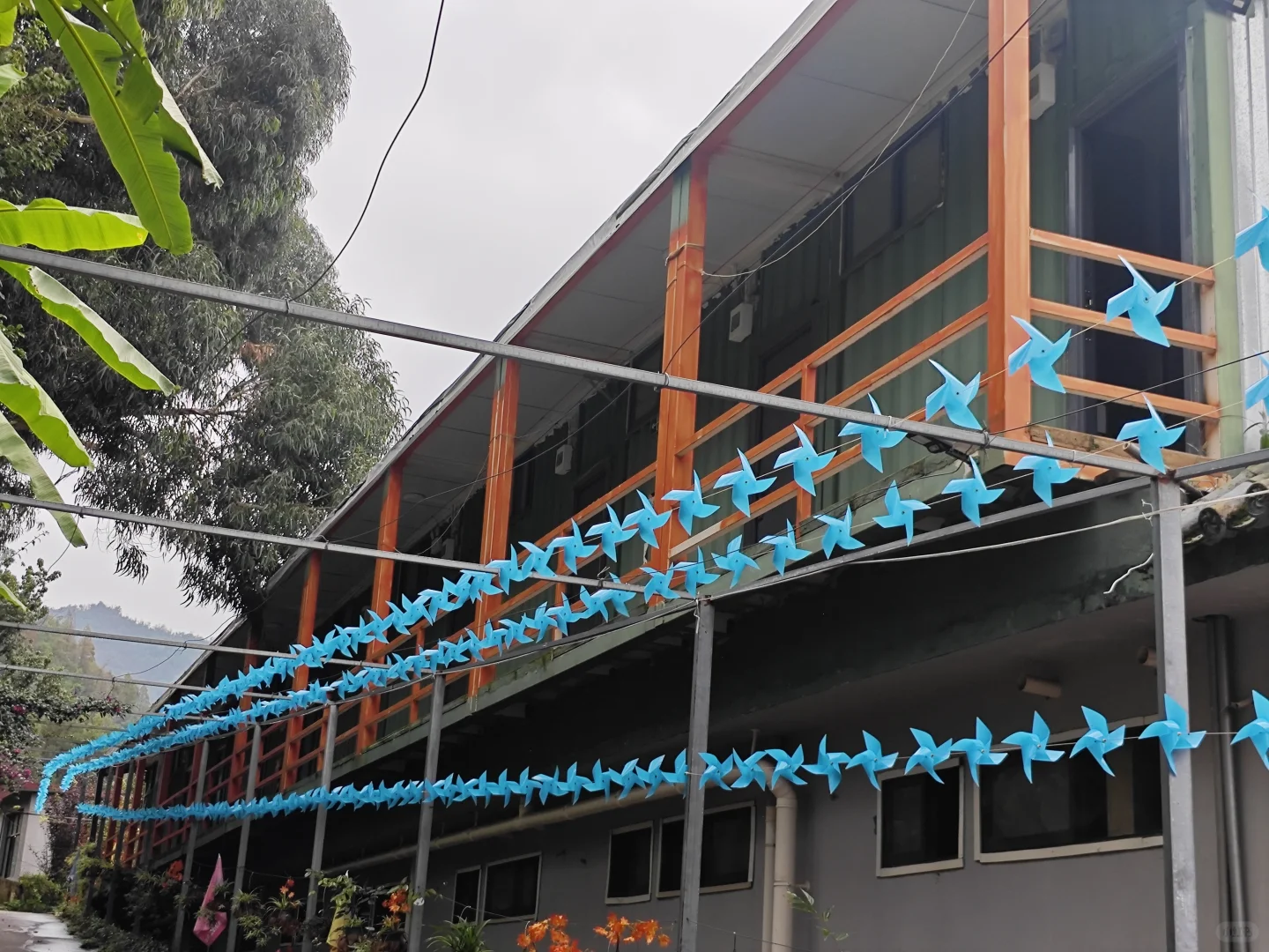 云南领航业务板块