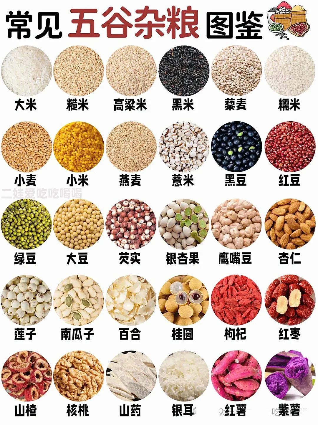 爱吃粗粮 养生 谷物杂粮图鉴?看这篇就够了