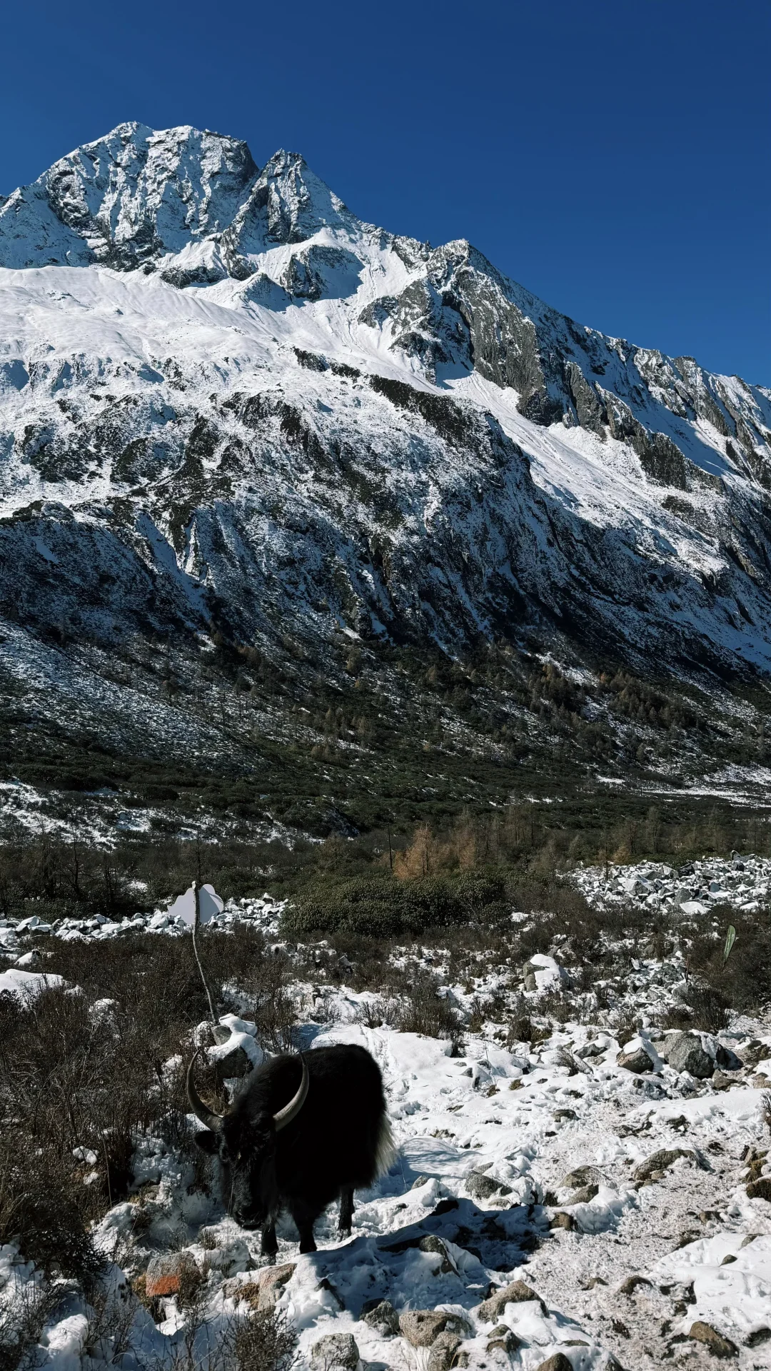 大二普三海子穿越，解锁海拔4520米?️