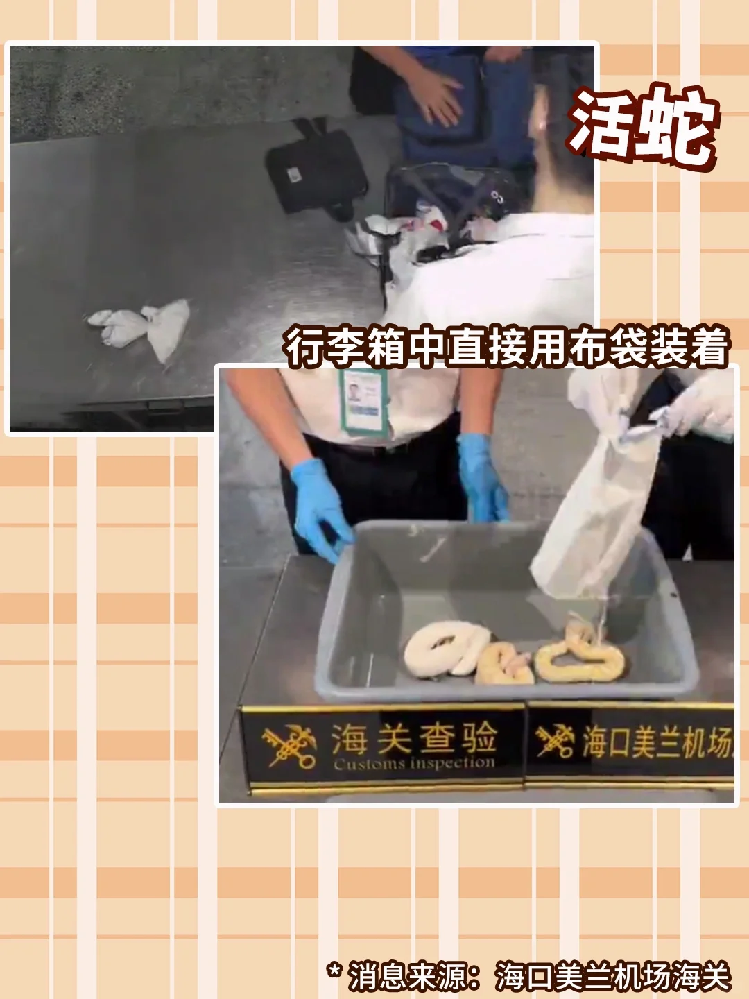 回国安检机：这还不算我扫出过的最离谱的