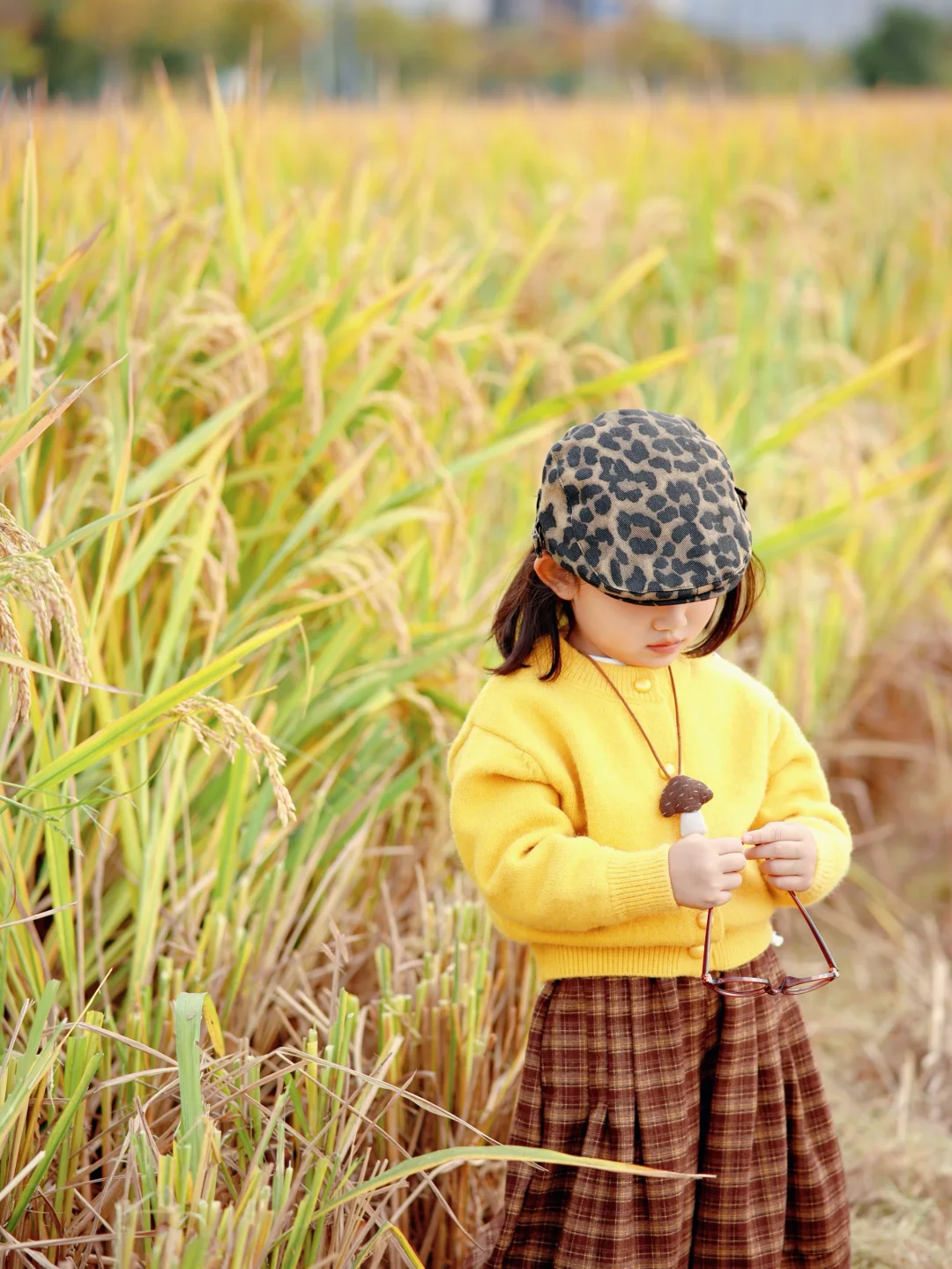 杭州稻田遛娃拍出电影感!娃的红脸蛋全靠它!