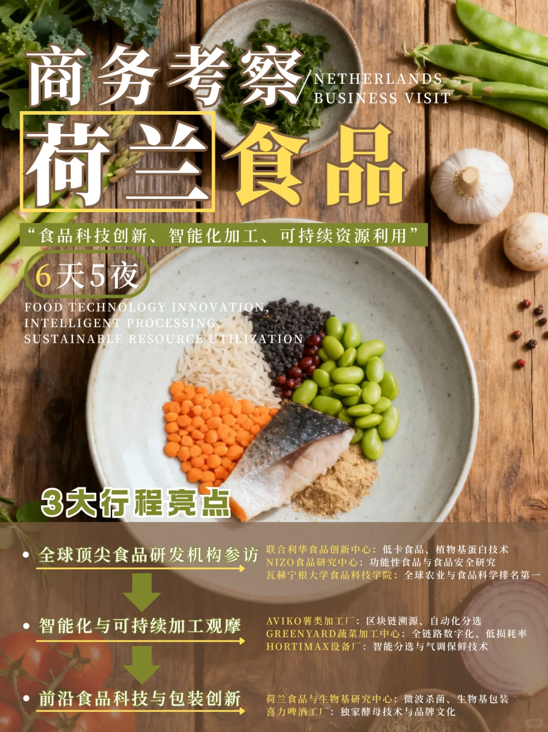 荷兰“食品硅谷”商务考察丨6天5晚