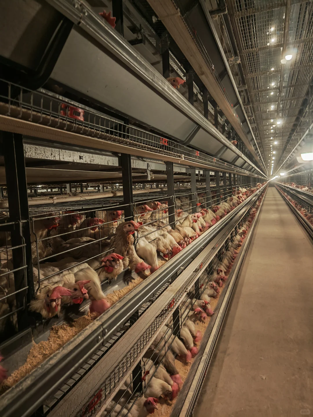 今天工作完成,最后一次巡查