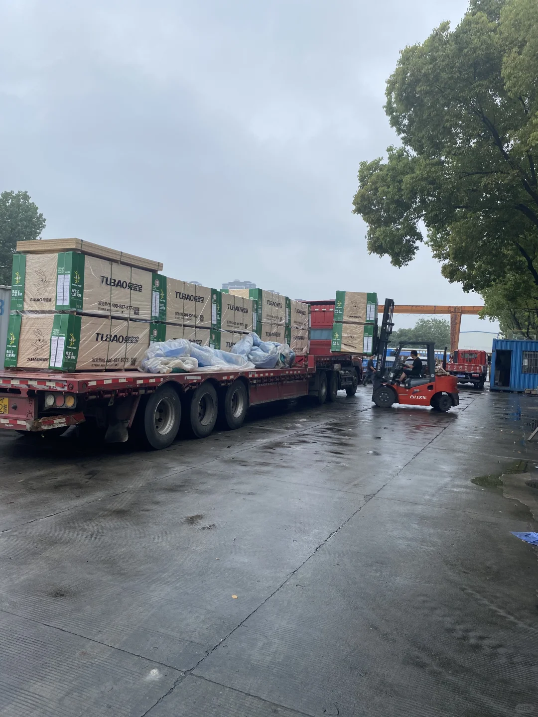 来了他又来了，一周一车兔宝宝，究竟卖给了谁