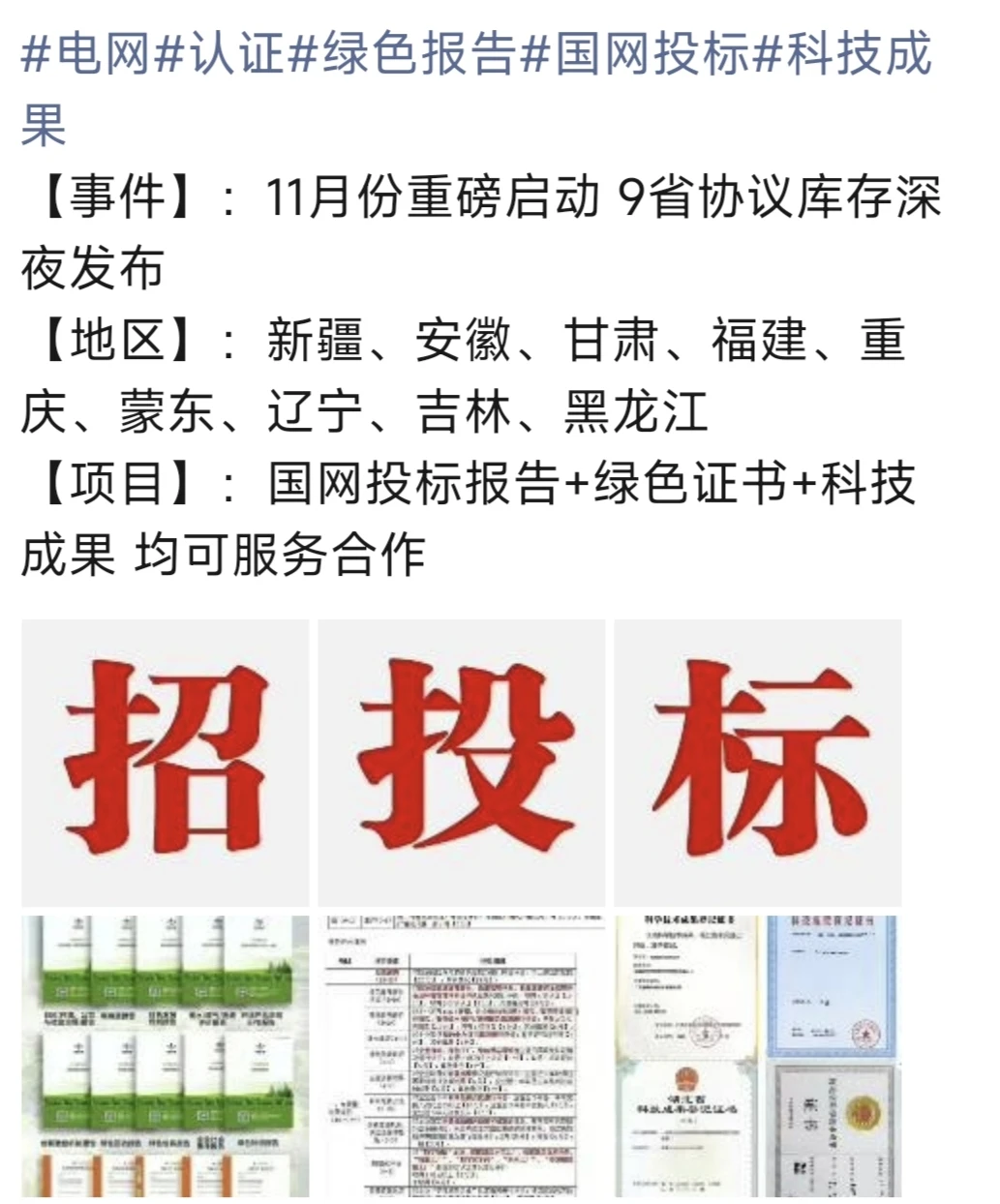 国网招投标加分报告！
