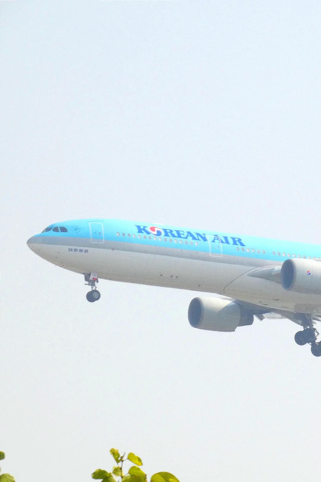 第一次拍到大韩的宽体飞机