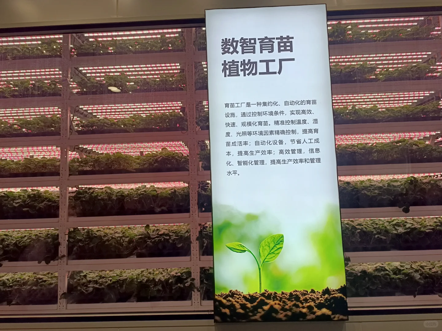 生活中的地理教学素材-四维生态数字农业