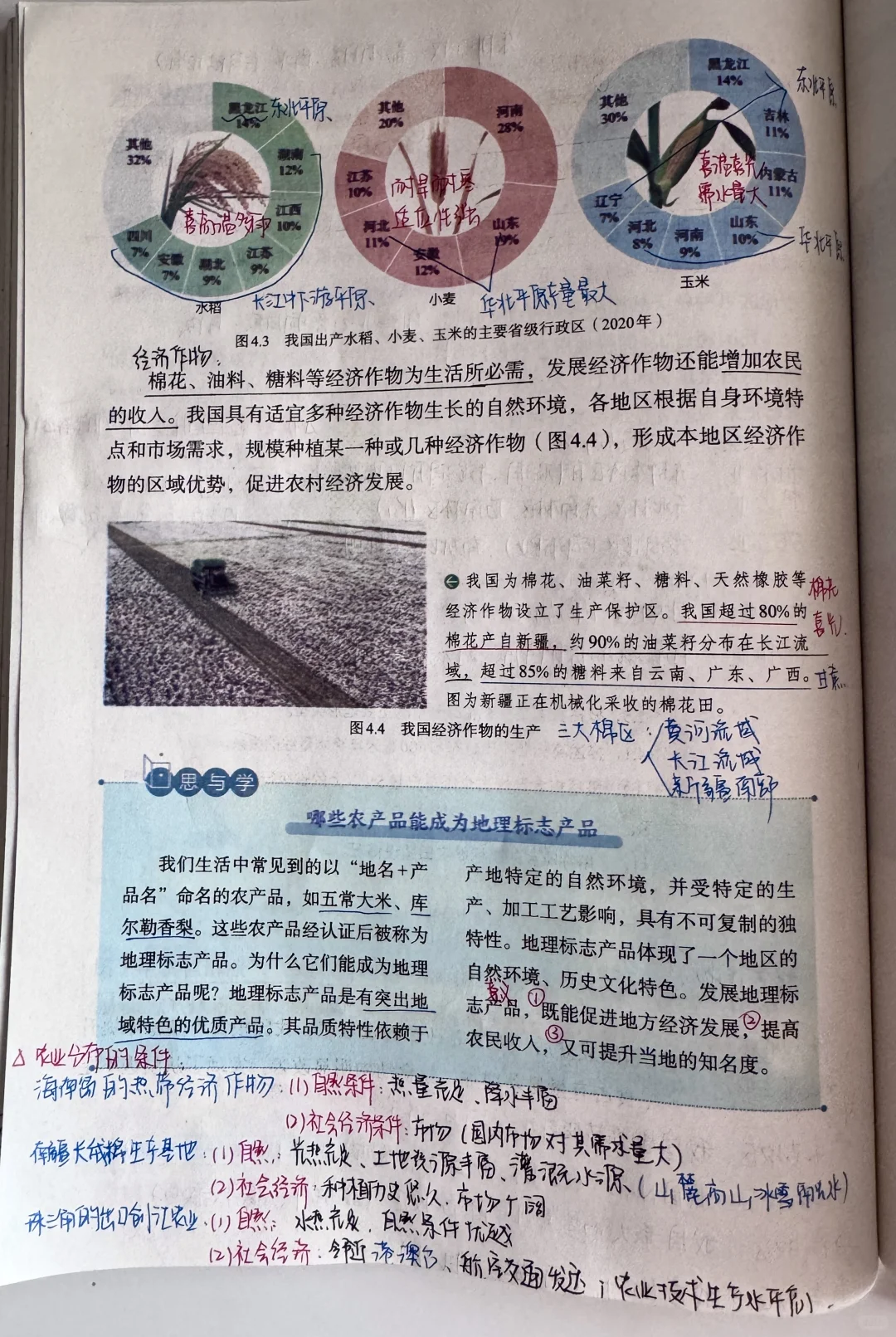 新人教版八上地理〔教材笔记〕4.1农业