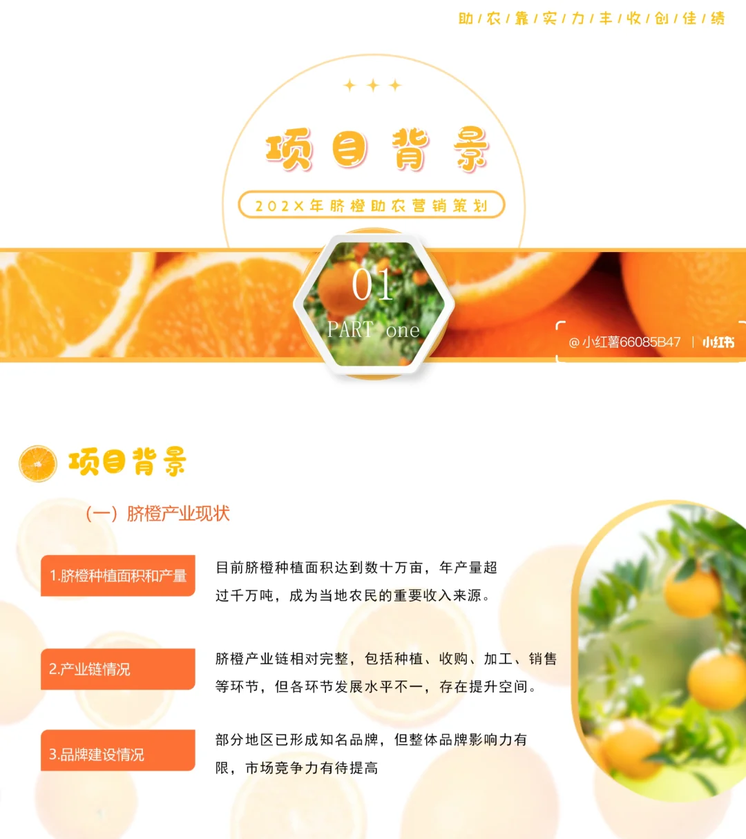 【带内容】脐橙助农项目策划方案PPT模板