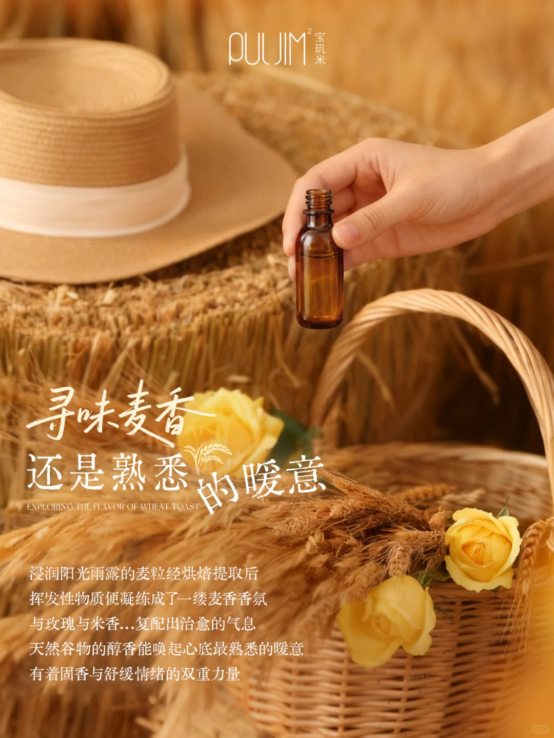 麦子的无限可能